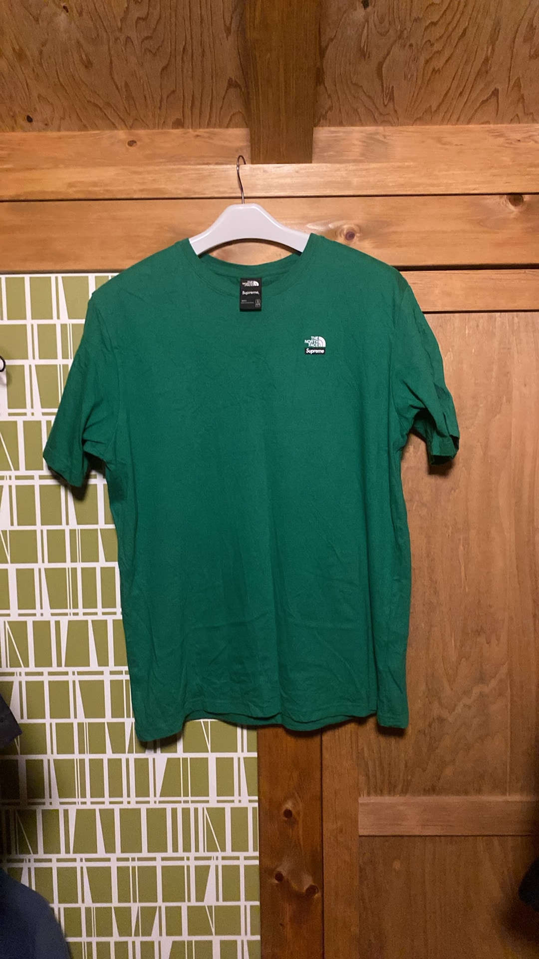 Supreme x The North Face Mountains Tee "Green"