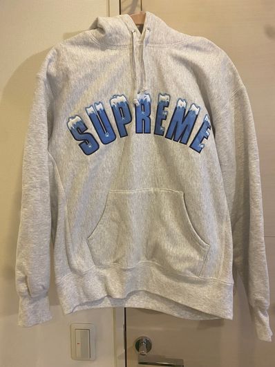 Supreme Icy Arc Hooded Sweatshirt "Ash Grey"