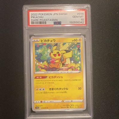 ARS10 そらをとぶピカチュウ、フリーザー ana 旧裏 PSA10相当 ARS10 ARS10 そらをとぶピカチュウ、フリーザー ana 旧裏 PSA10相当 ARS10
