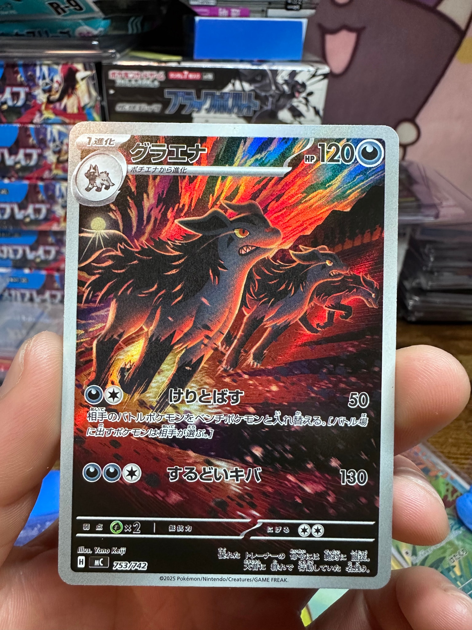 グラエナ AR仕様 [MC 753/742](スタートデッキ100「バトルコレクション