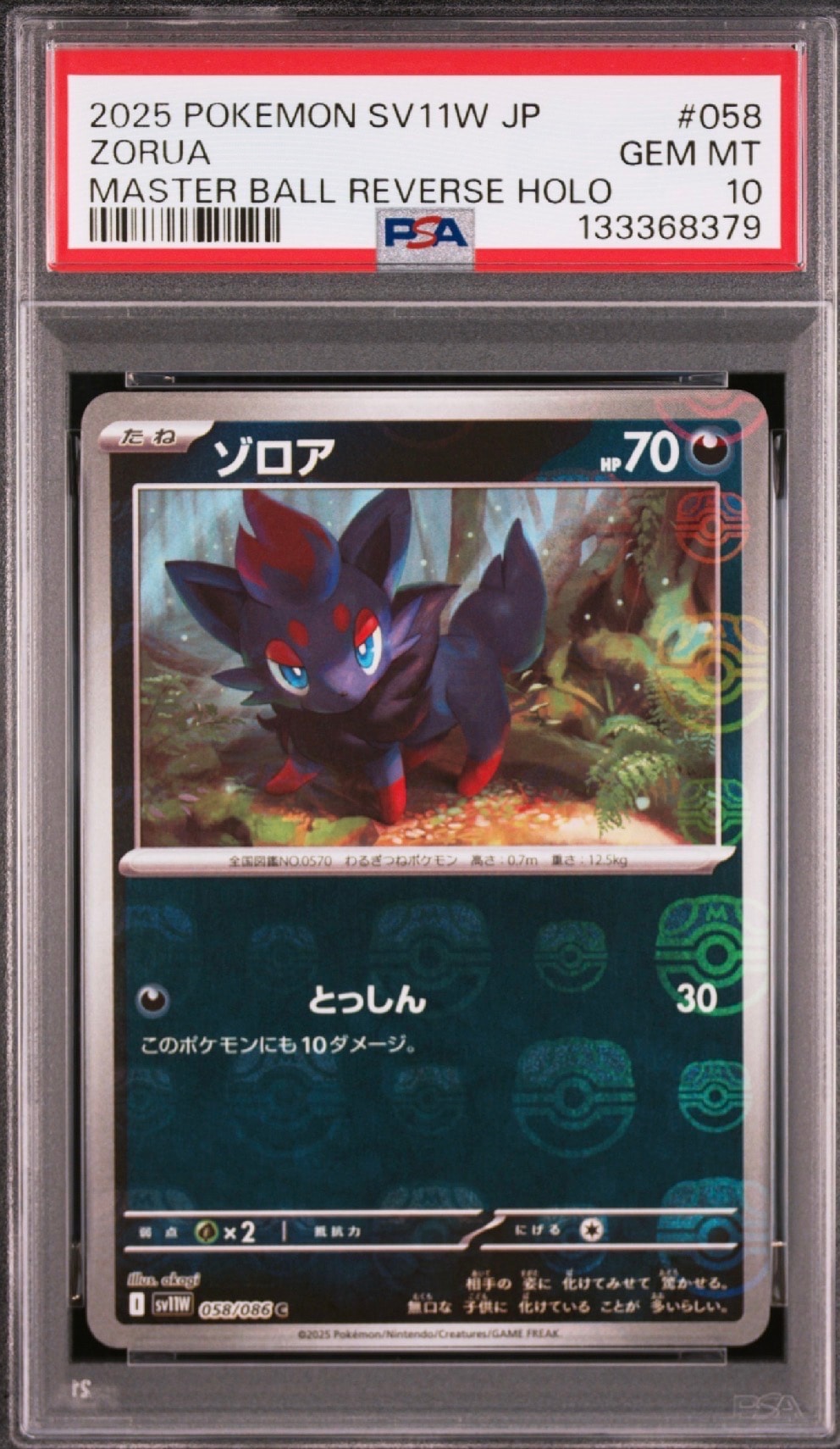 ゾロア C :マスターボールミラー [SV11W 058/086](拡張パック「ホワイトフレア」)