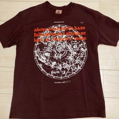 NIKE ACG Tシャツ