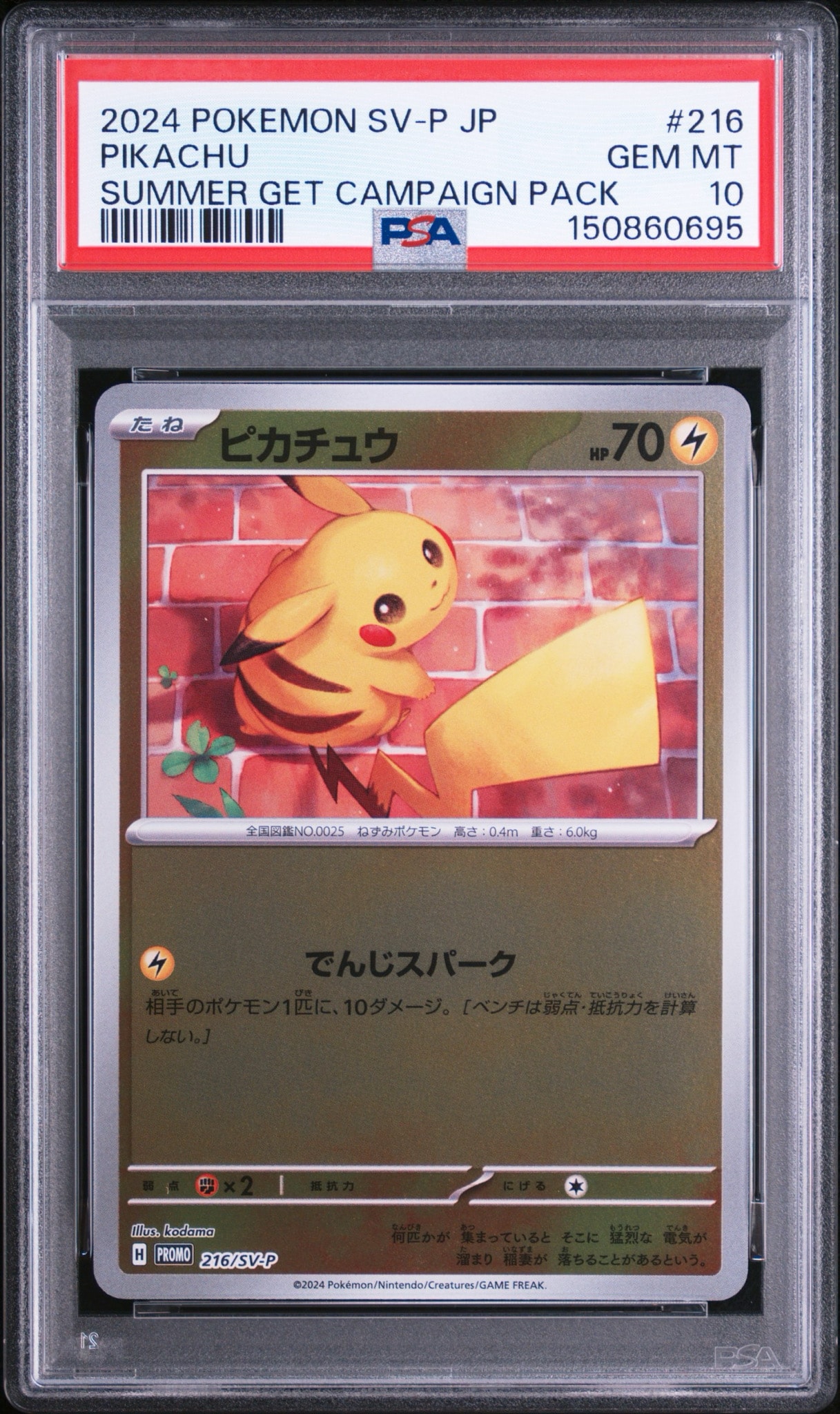 ピカチュウ P [SV-P 216](プロモカードパック「ポケカの夏がキタ