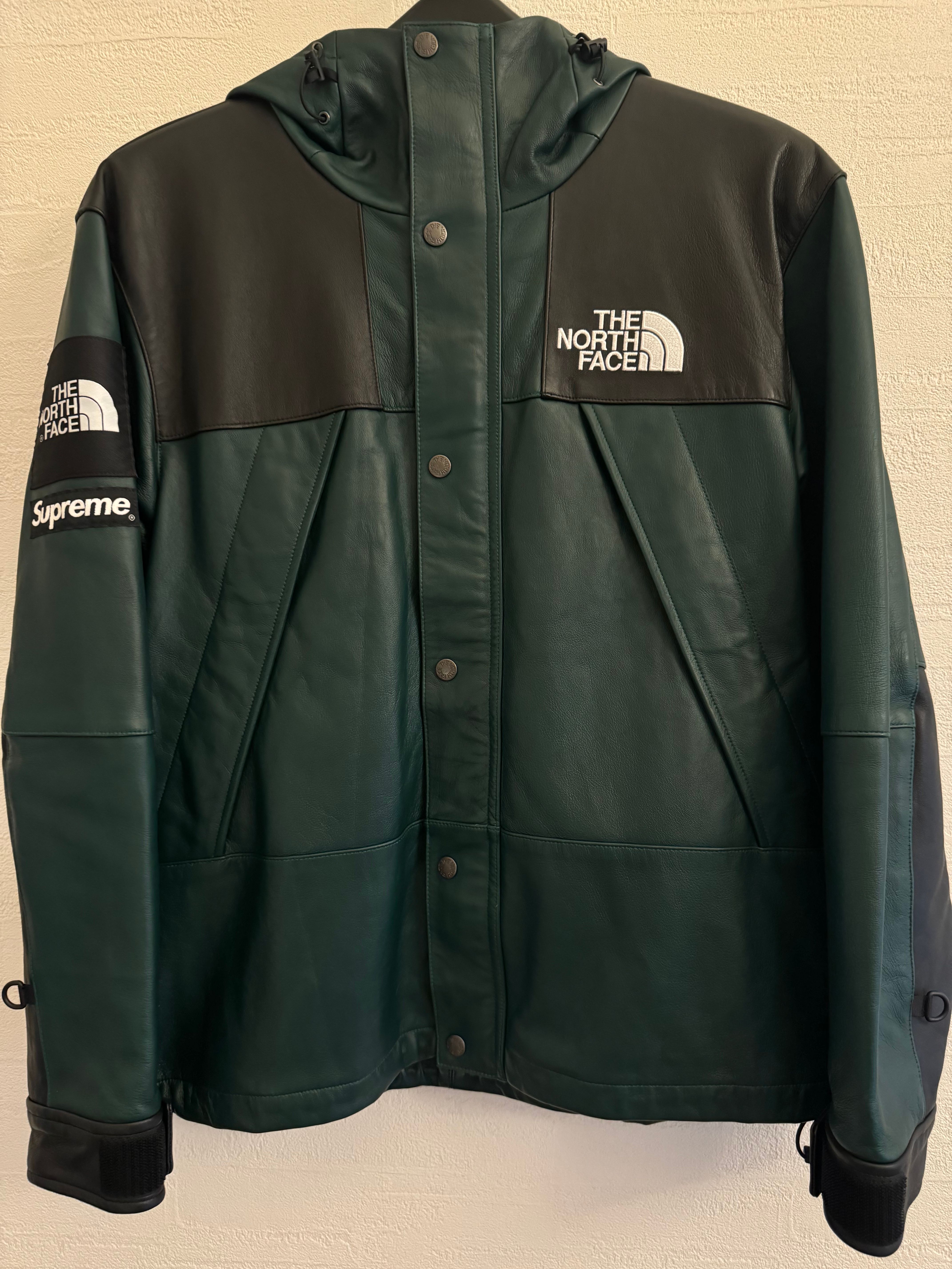 Supreme x The North Face Leather Mountain Parka "Green"