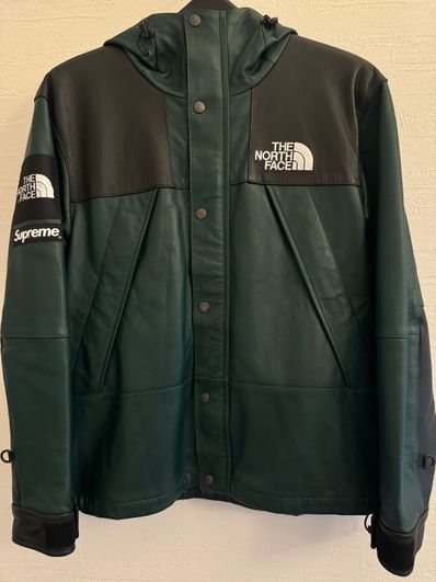Supreme x The North Face Leather Mountain Parka "Green"