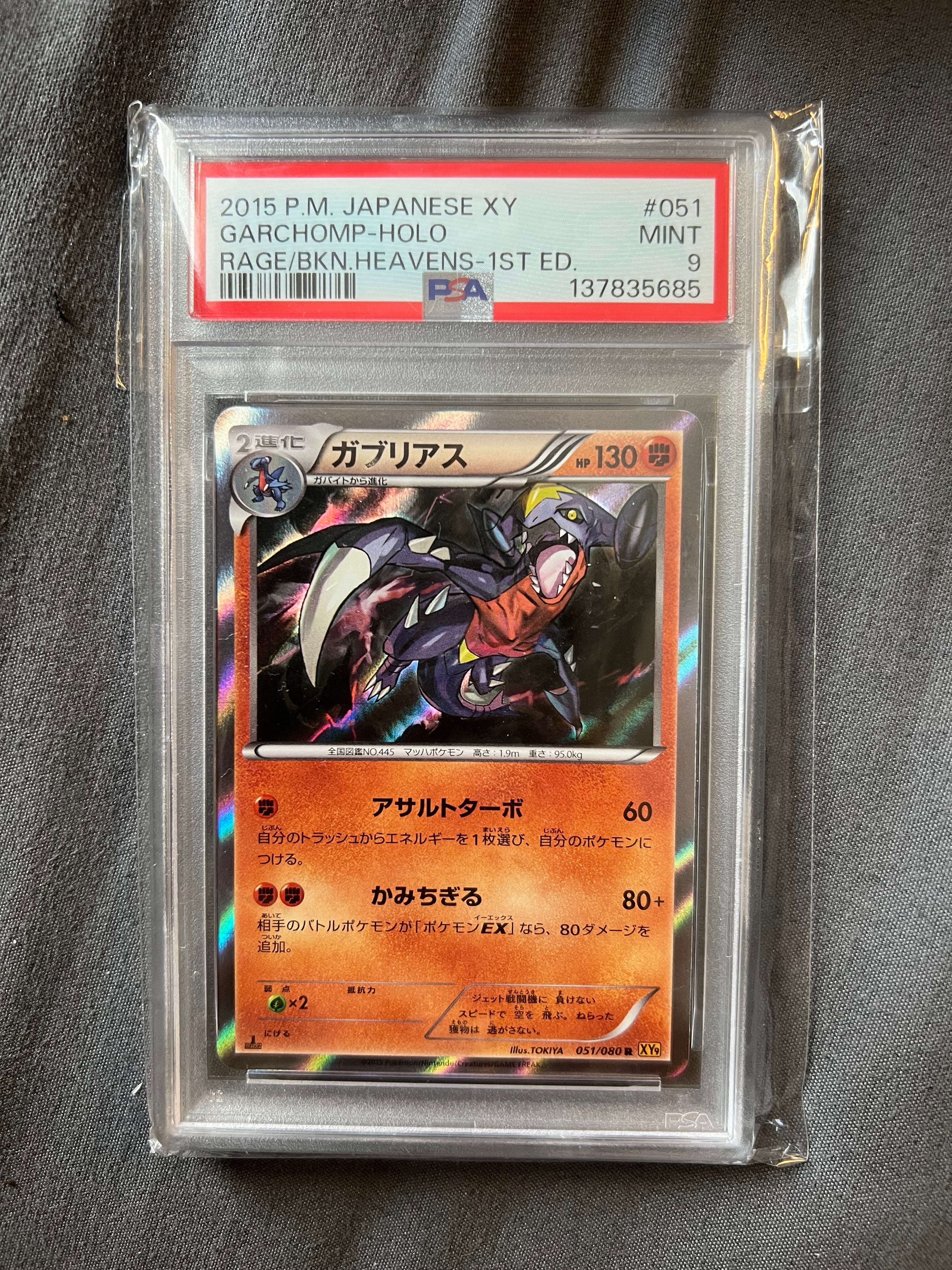 PSA9】ガブリアス R :1ED [XY9 051/080](拡張パック「破天の怒り」) 1