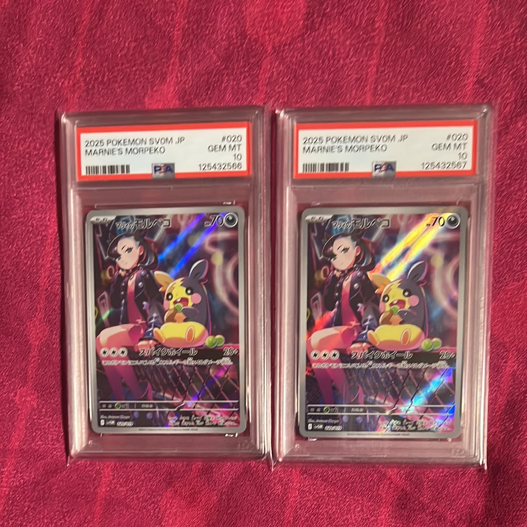 マリィのモルペコ [SVOM 020/019](スターターセットex「マリィのモルペコ＆オーロンゲex」)