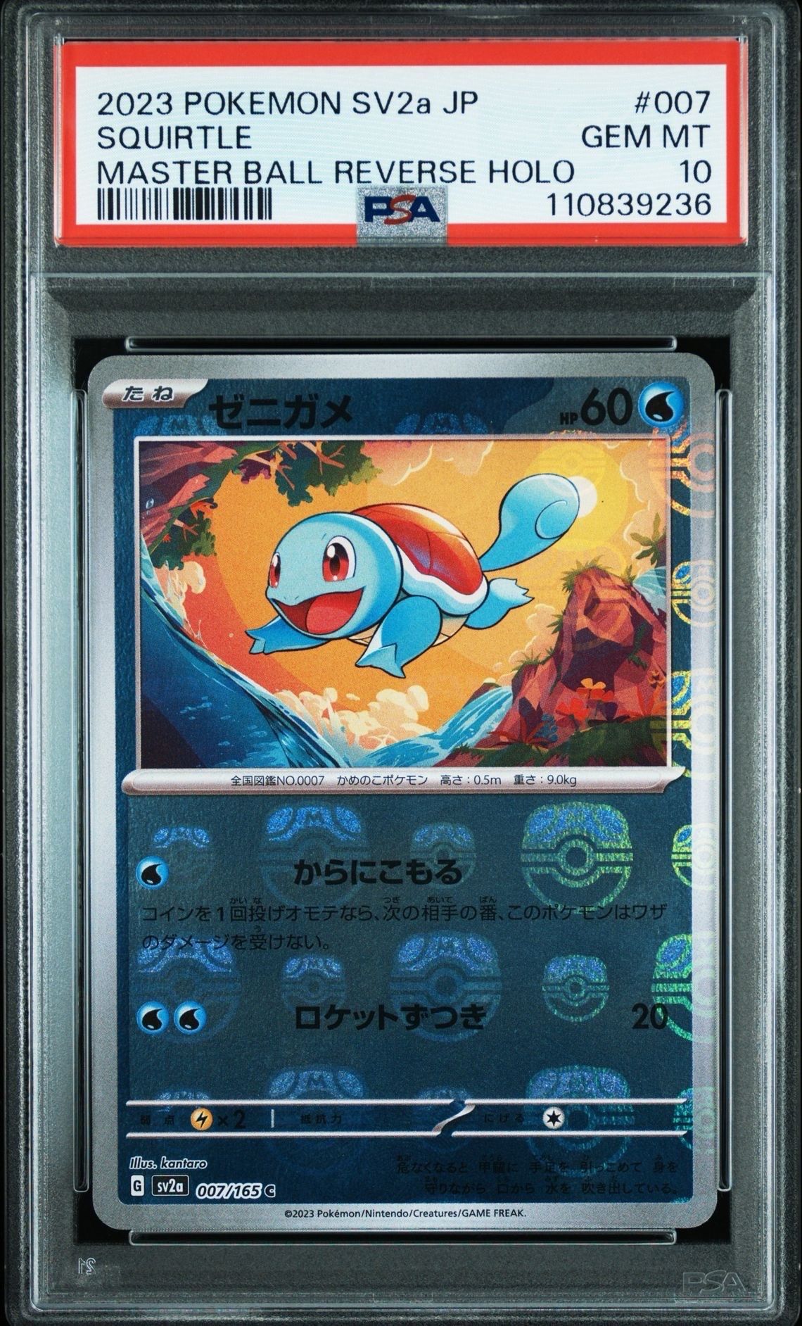 ゼニガメ C: マスターボールミラー[SV2a 007/165](強化拡張パック「ポケモンカード151」)