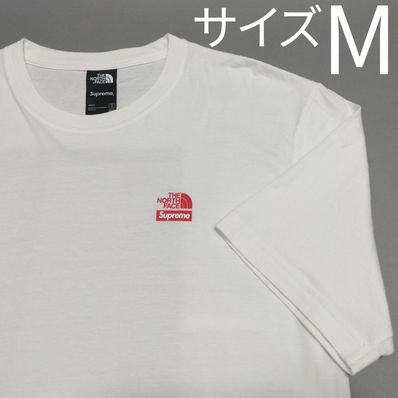 Supreme x The North Face Statue of Liberty Tee "White"