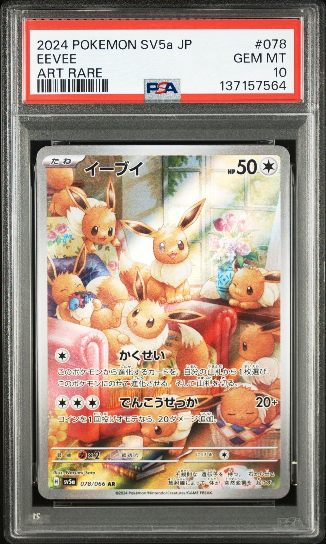 状態C】ピカチュウ P [M-P 020](プロモカードパック「マクドナルド