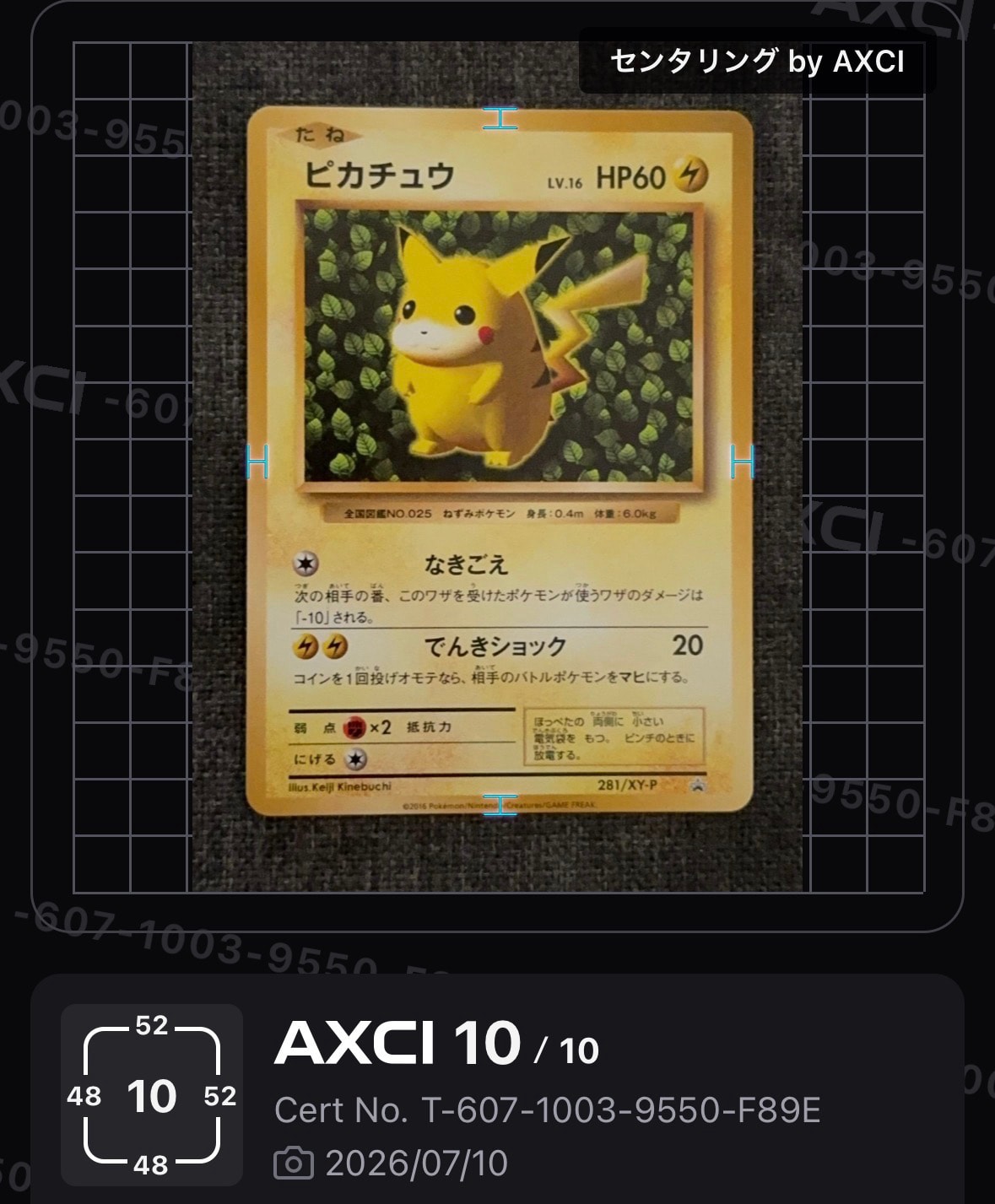 ピカチュウ: プロモ[XY-P 281/XY-P](プロモーションカード「XY-P