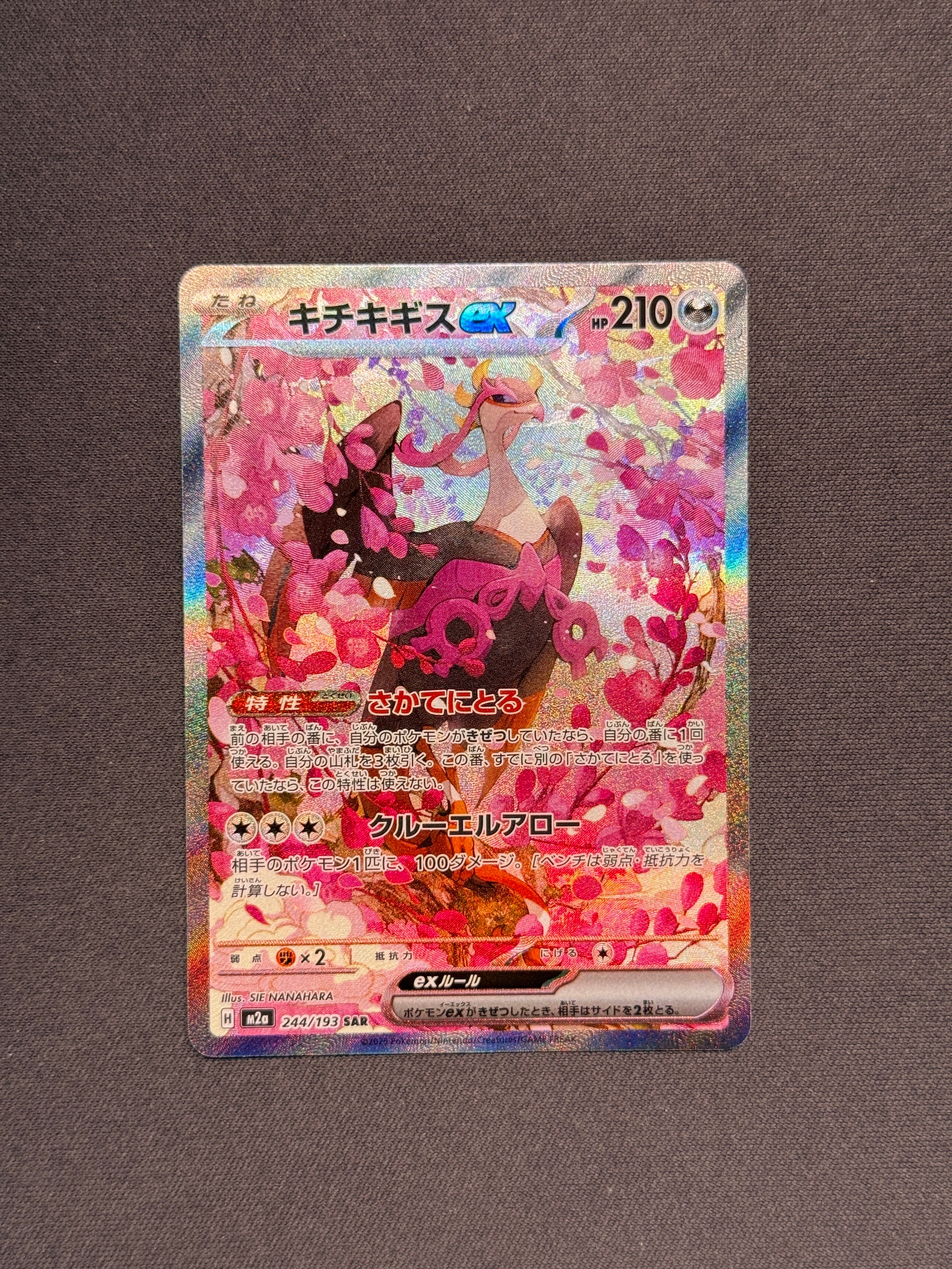 オーダイル [SV-P 241](プロモカードパック「イラストレーション