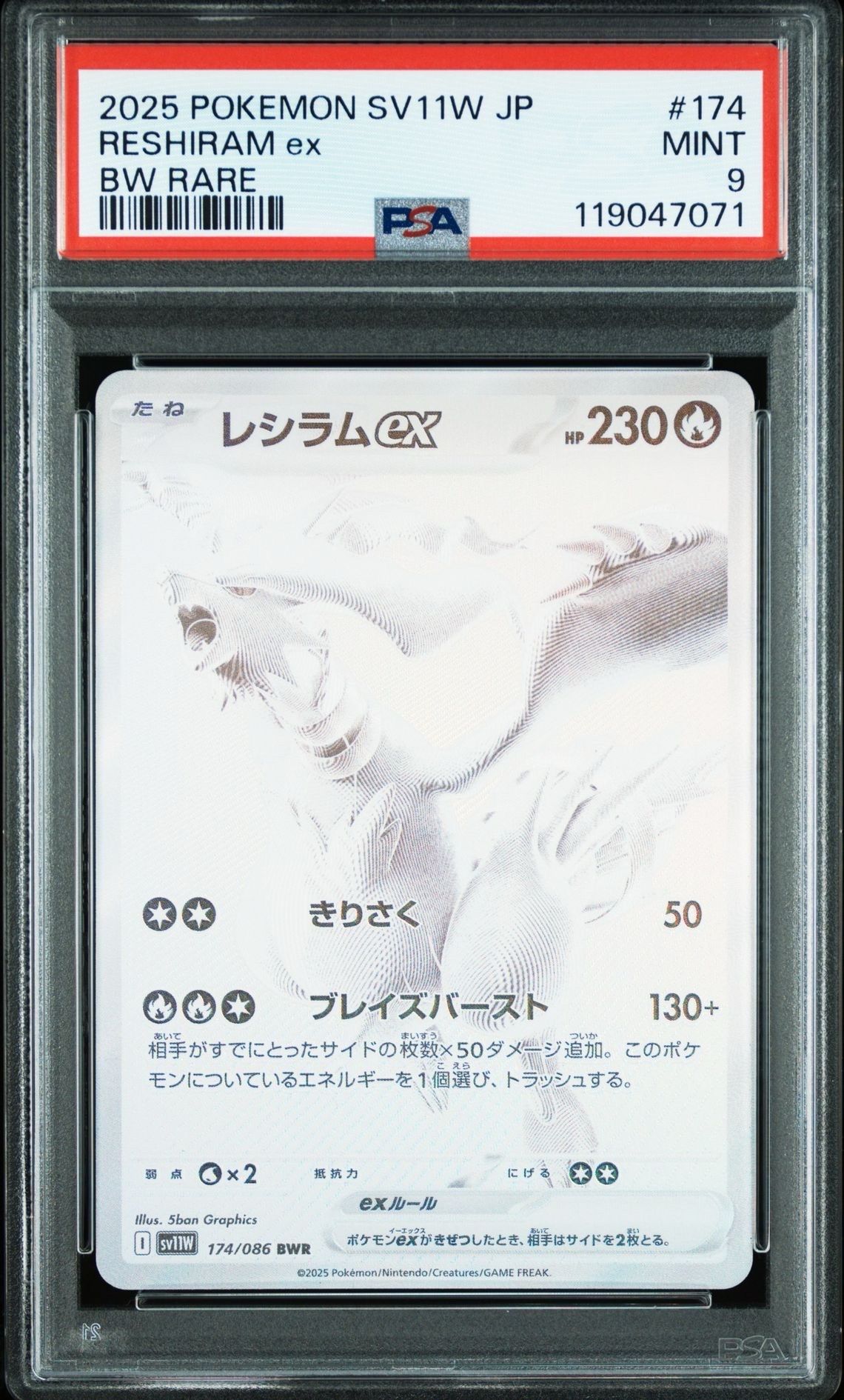 レシラムex BWR SV11W ホワイトフレア 174/086 交換品 レシラムex BWR [SV11W 174/086] 「ホワイトフレア」