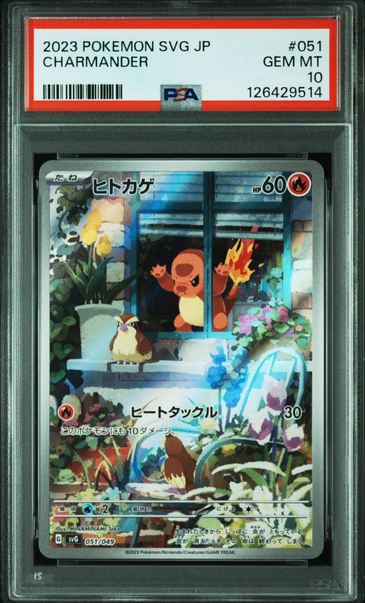 ヒトカゲ :フルイラスト [SVG 051/049](スペシャルデッキセットex「フシギバナ・リザードン・カメックス」)