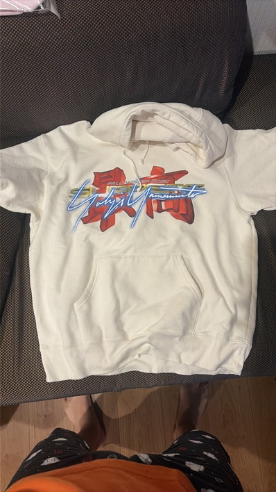 Supreme x Yohji Yamamoto TEKKEN Hooded Sweatshirt "Stone"
