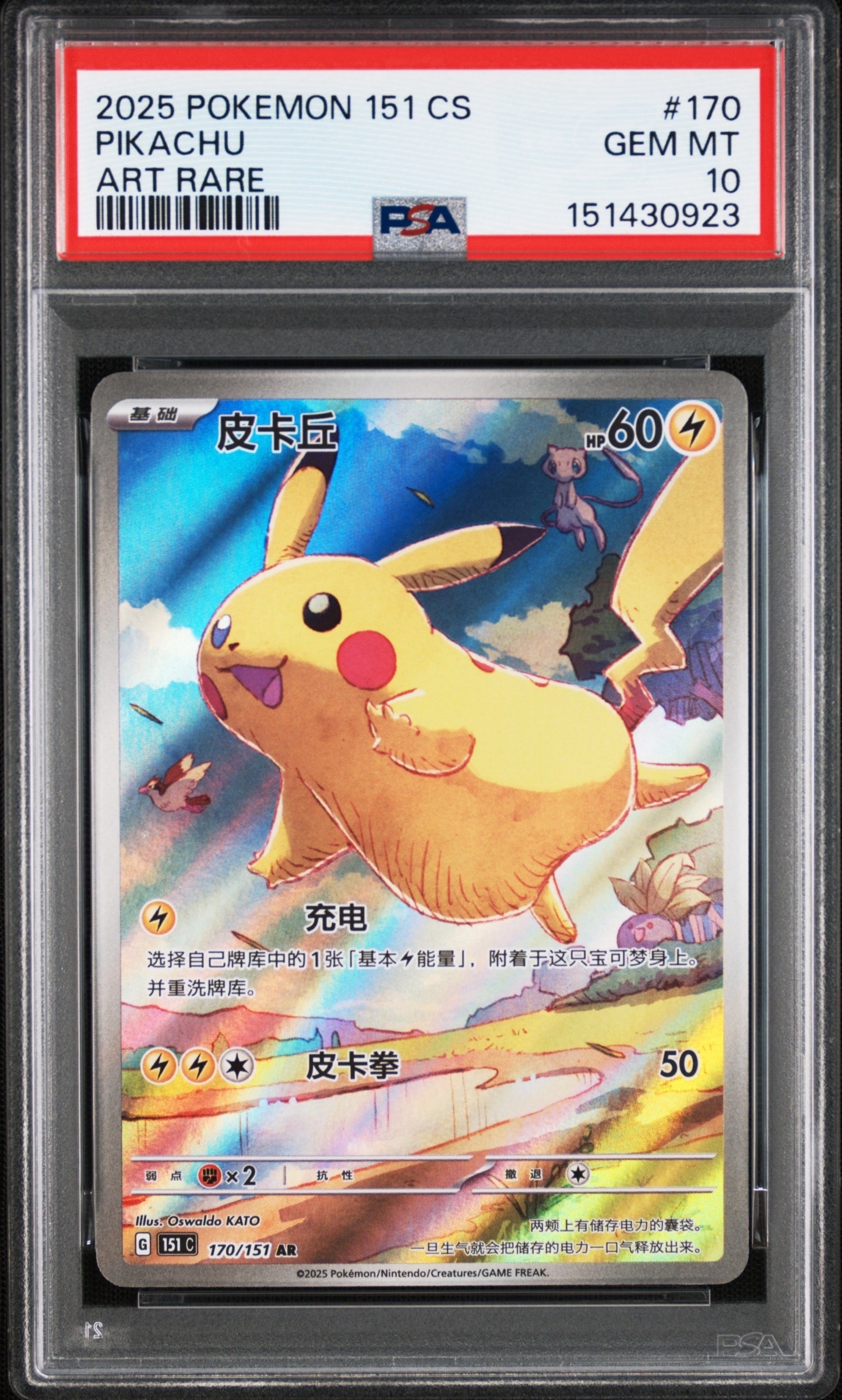 ピカチュウ P [BW-P 229/BW-P](プロモーションカード「ポケモン