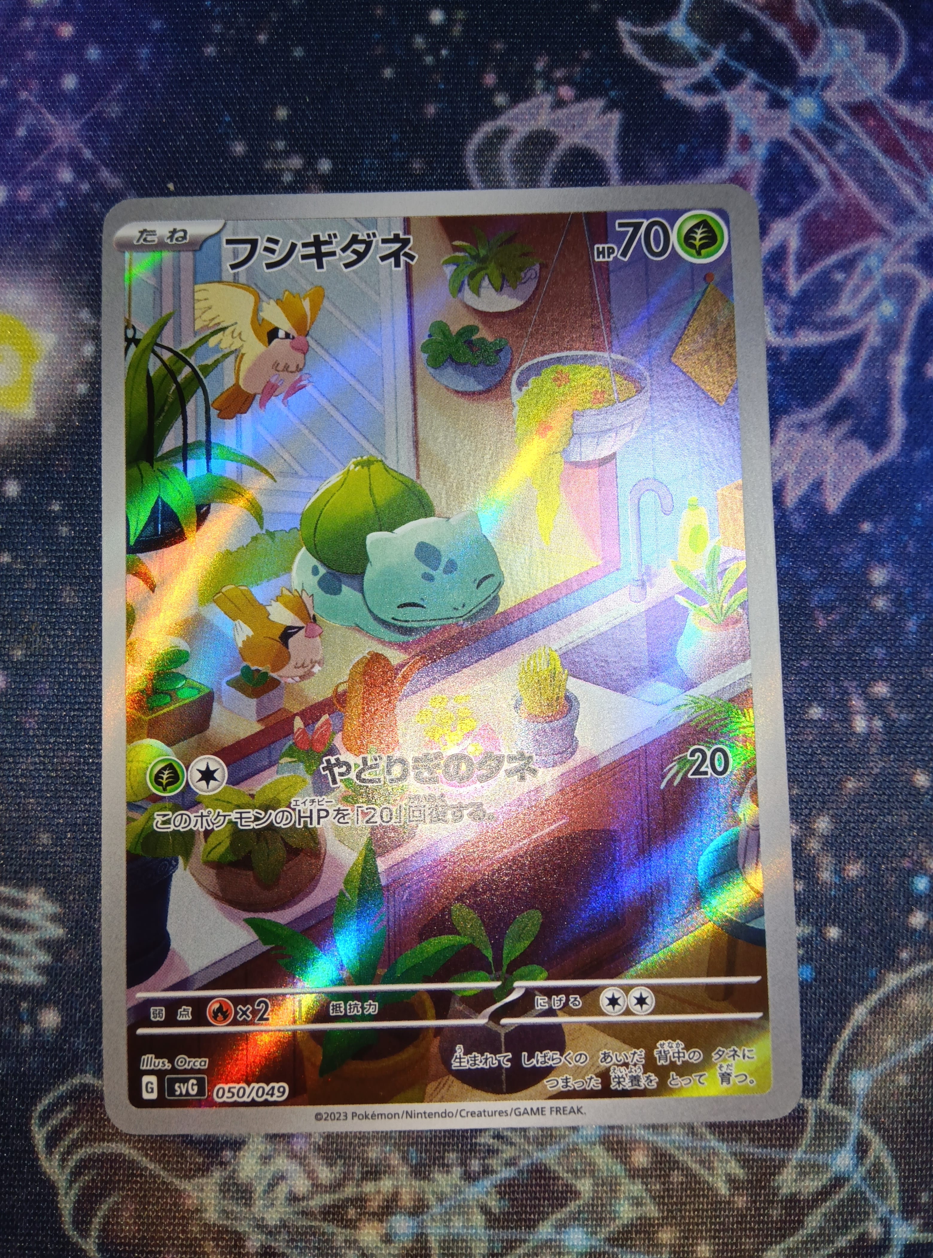 ポケモンカードゲーム　フシギダネAR 050/049 PSA10 PSA10鑑定済】フシギダネ(AR仕様)《-》{050/049}[-] - シンソク