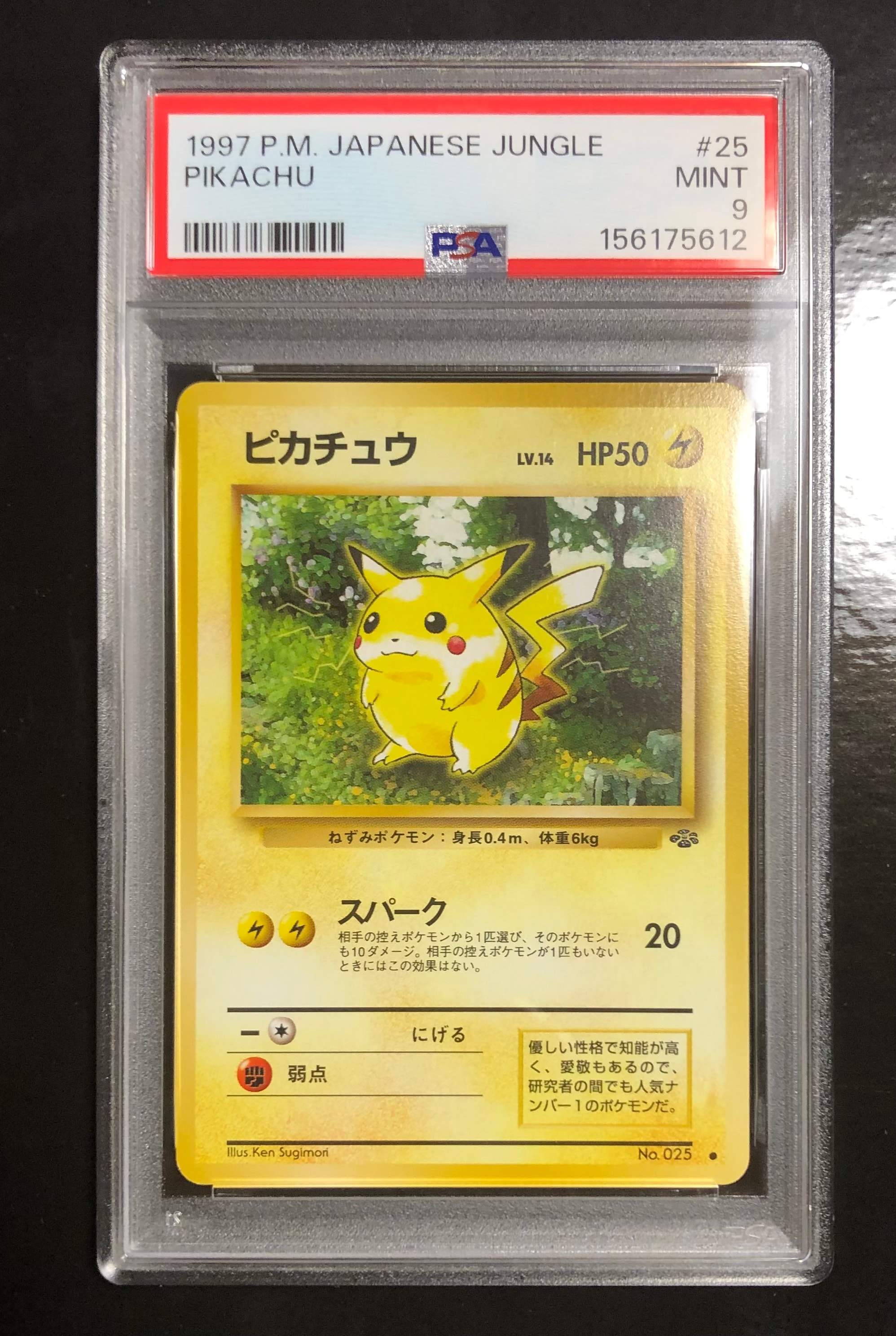 ピカチュウ ● : 旧裏 [PMCG2 No.025](拡張パック「ポケモンジャングル」)