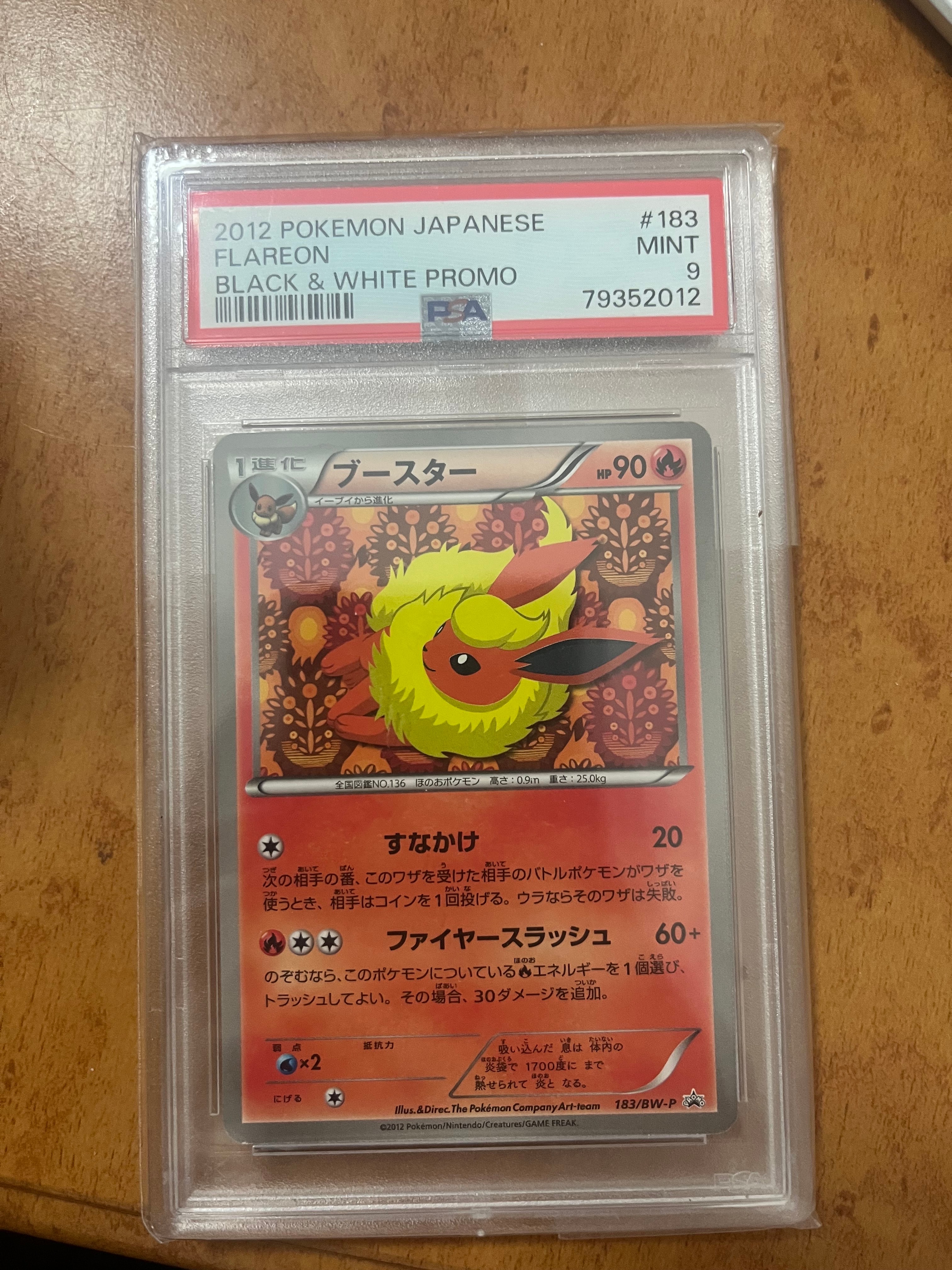 ブースター　183/BW-P プロモ　ポケカポケモンカード ブースター(183/BW-P) | プロモ | ドラゴンスター | ポケモンカード