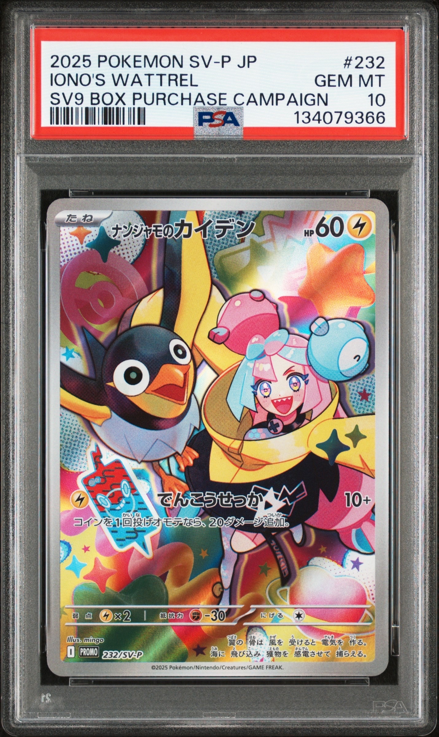 ナンジャモのカイデン P [SV-P 232](プロモーションカード「拡張パック バトルパートナーズ Box購入キャンペーン」)