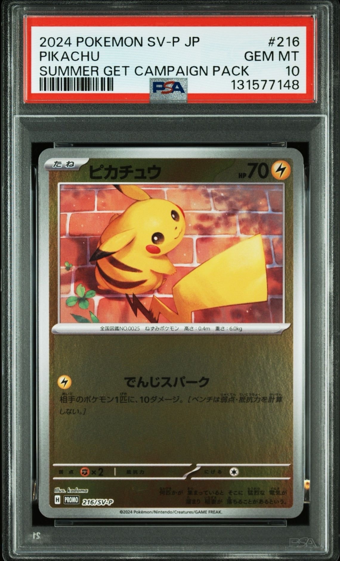 ピカチュウ P [SV-P 216](プロモカードパック「ポケカの夏がキタ!プロモカードGetキャンペーン!」)