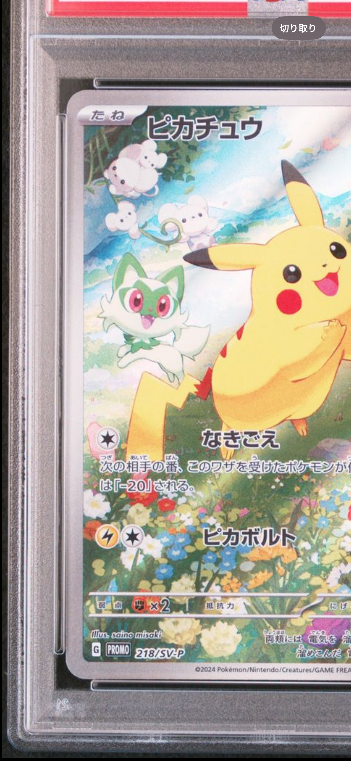 ポケモンカード　ピカピカ春祭りキャンペーン　未開封　プロモ　パック　未剥がし 2025年最新】ピカピカ春祭りキャンペーンの人気アイテム - メルカリ