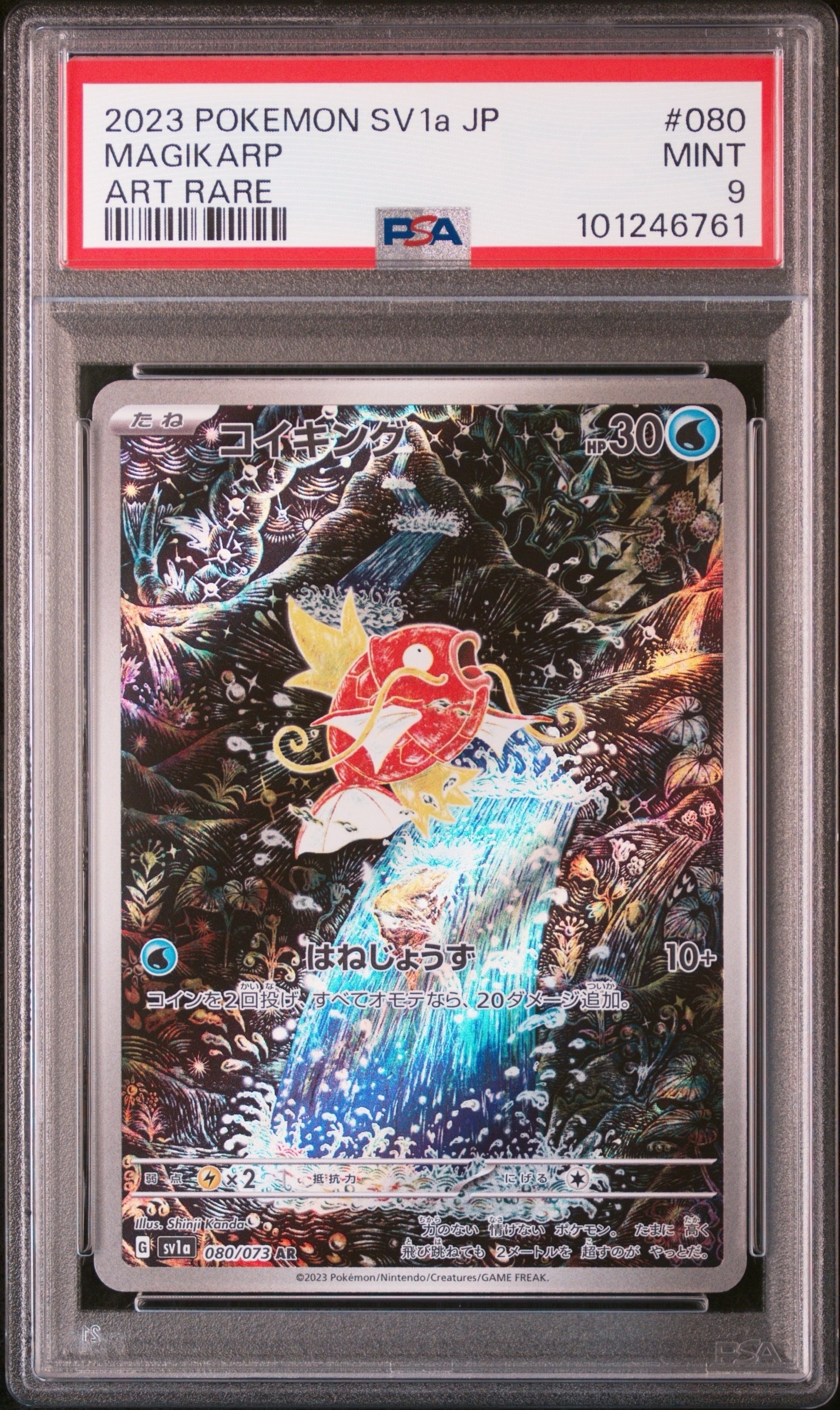 コイキング AR[SV1a 080/073](スカーレット&バイオレット 拡張パック「トリプレットビート」)