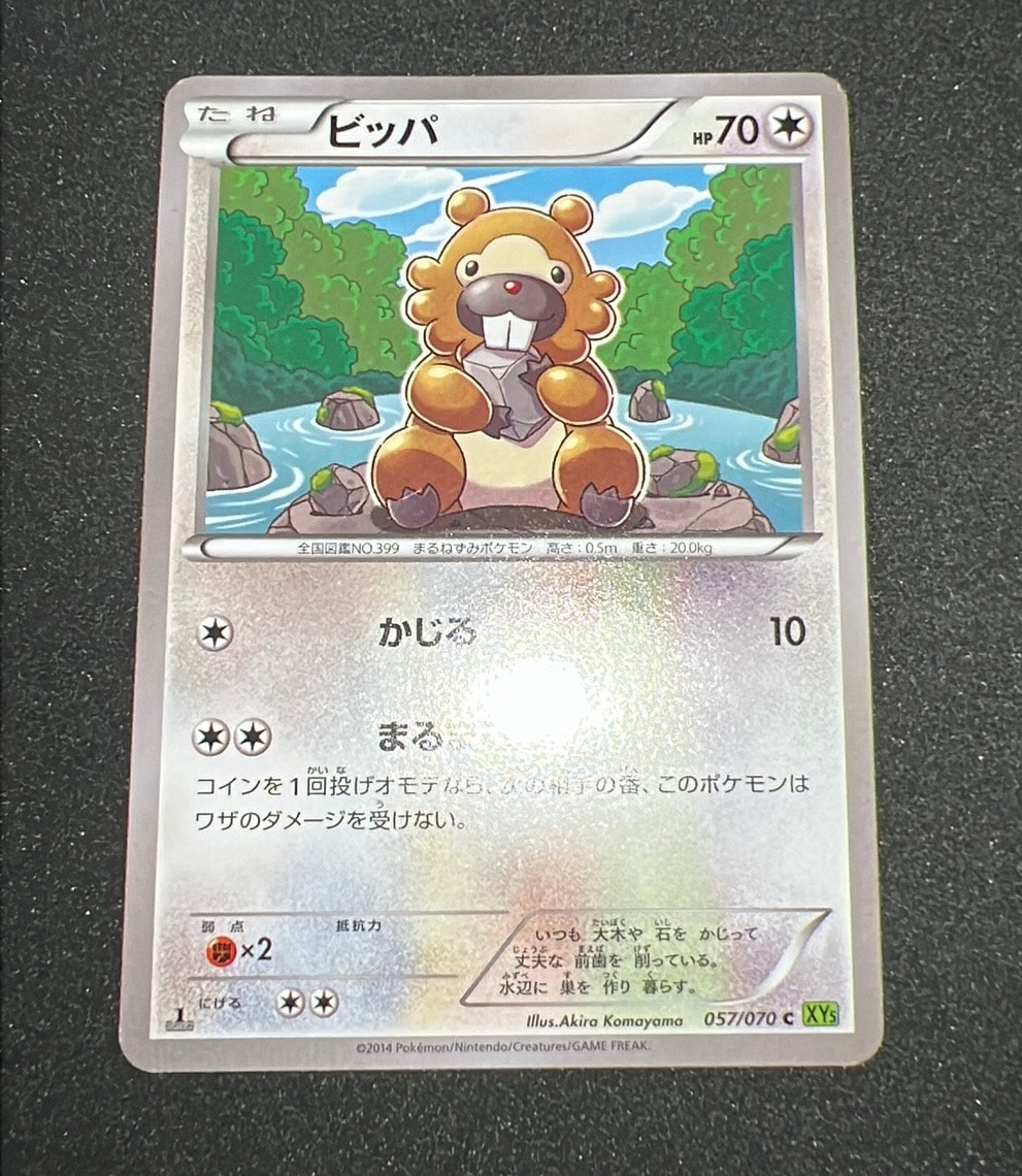 ビッパ C :1ED [XY5 057/070](拡張パック「タイダルストーム」)