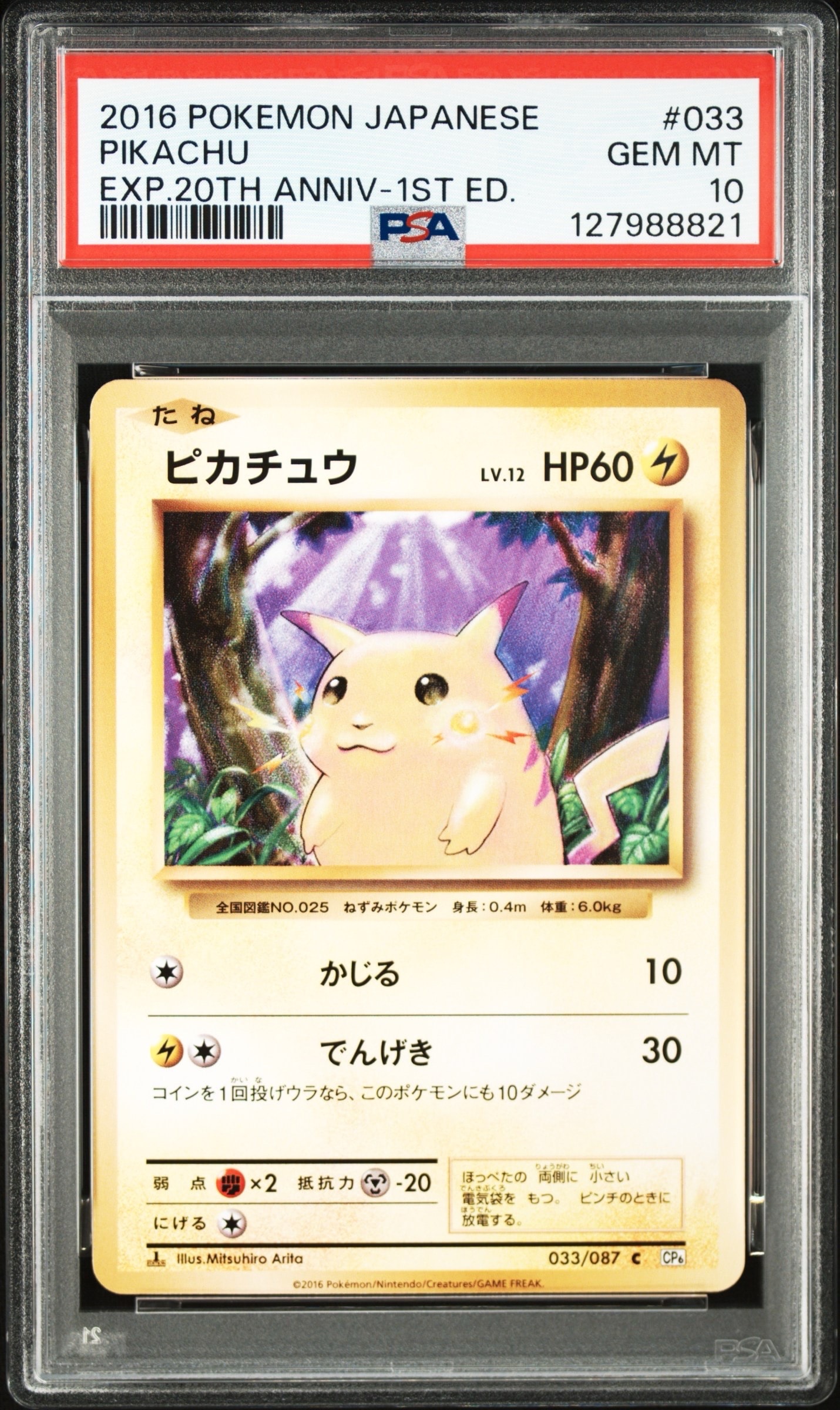 ピカチュウ C :1ED [CP6 033/087](コンセプトパック「ポケットモンスターカードゲーム 拡張パック 20th Anniversary」)