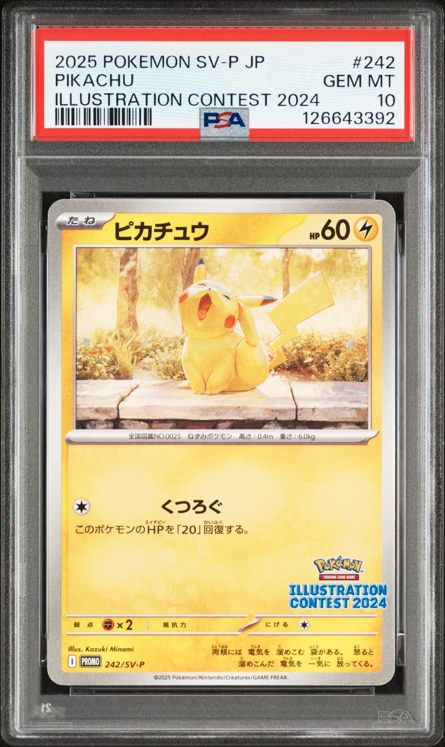 ピカチュウ [SV-P 242](プロモカードパック「イラストレーション