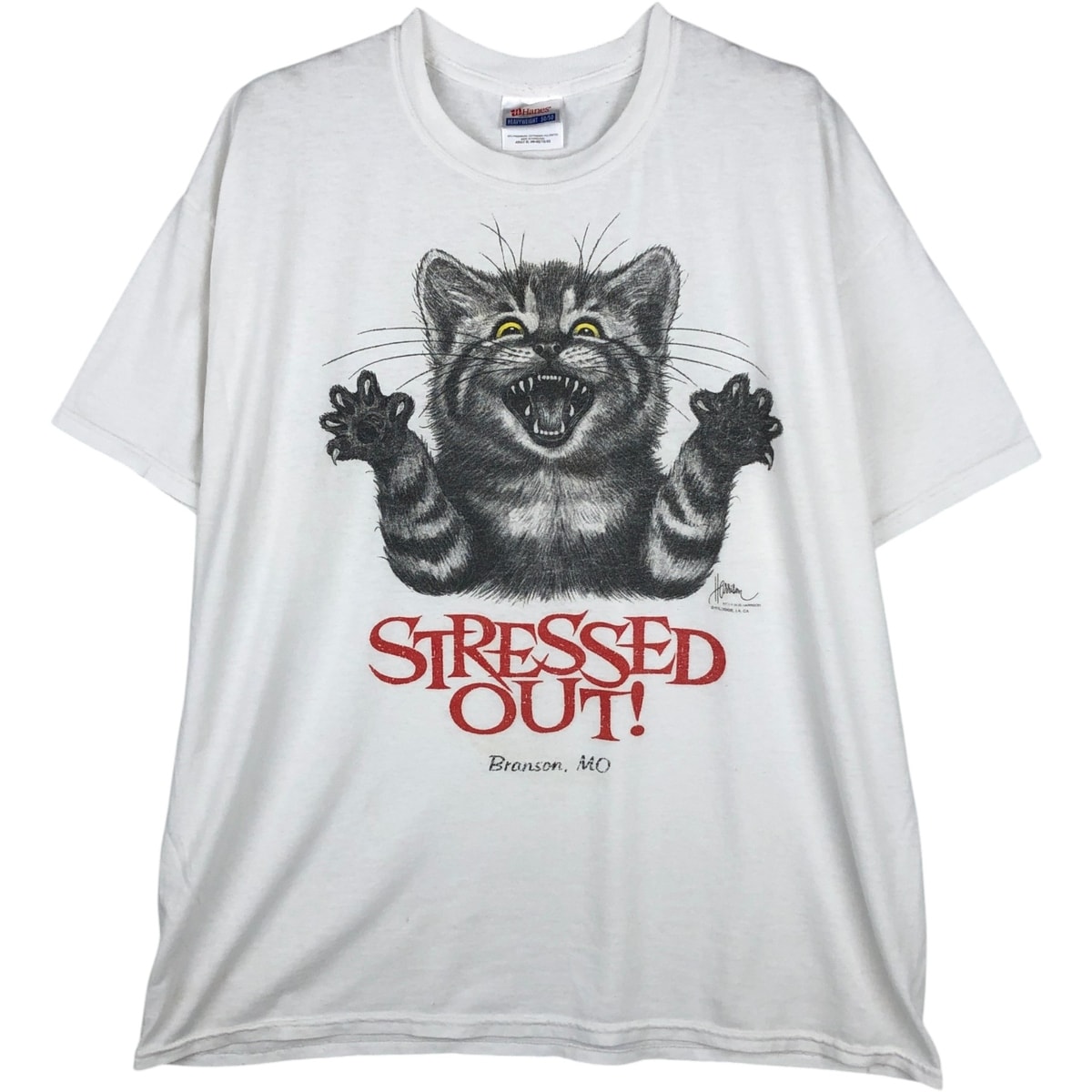 古着 00年代 ヘインズ Hanes HEAVYWEIGHT 50/50 ネコ柄 アニマルTシャツ メンズXL相当/eaa631451