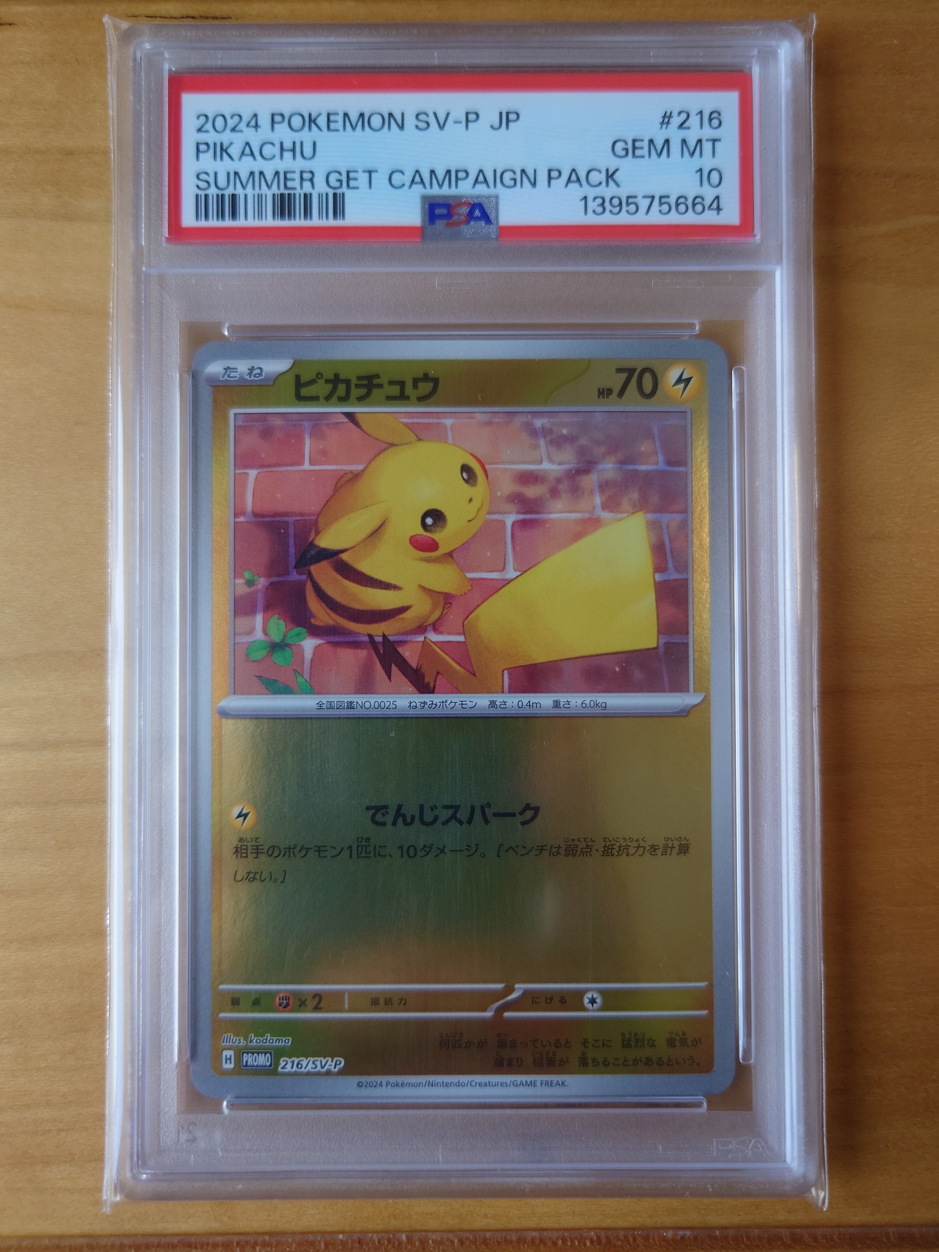 ピカチュウ P [SV-P 216](プロモカードパック「ポケカの夏がキタ!プロモカードGetキャンペーン!」)