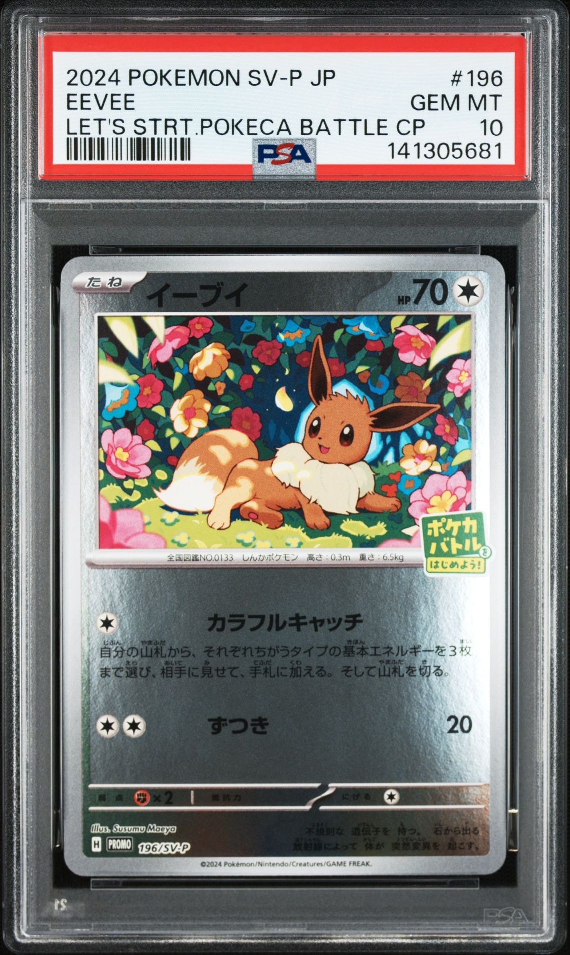 イーブイ P [SV-P-SM 196](プロモカードパック「ポケカバトルをはじめよう!キャンペーン」)