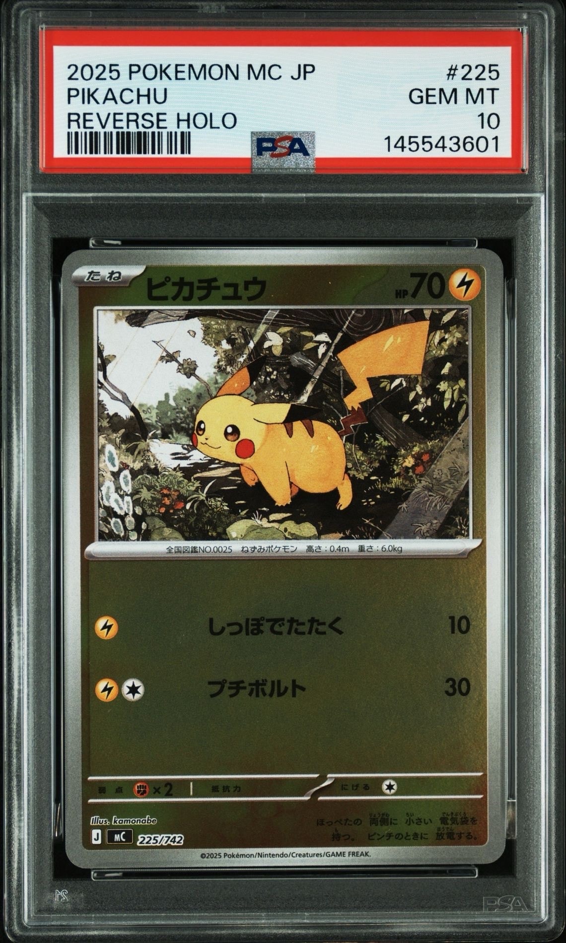 PSA10】ピカチュウ: プロモ P [S-P 272](プロモーションカード「S-P