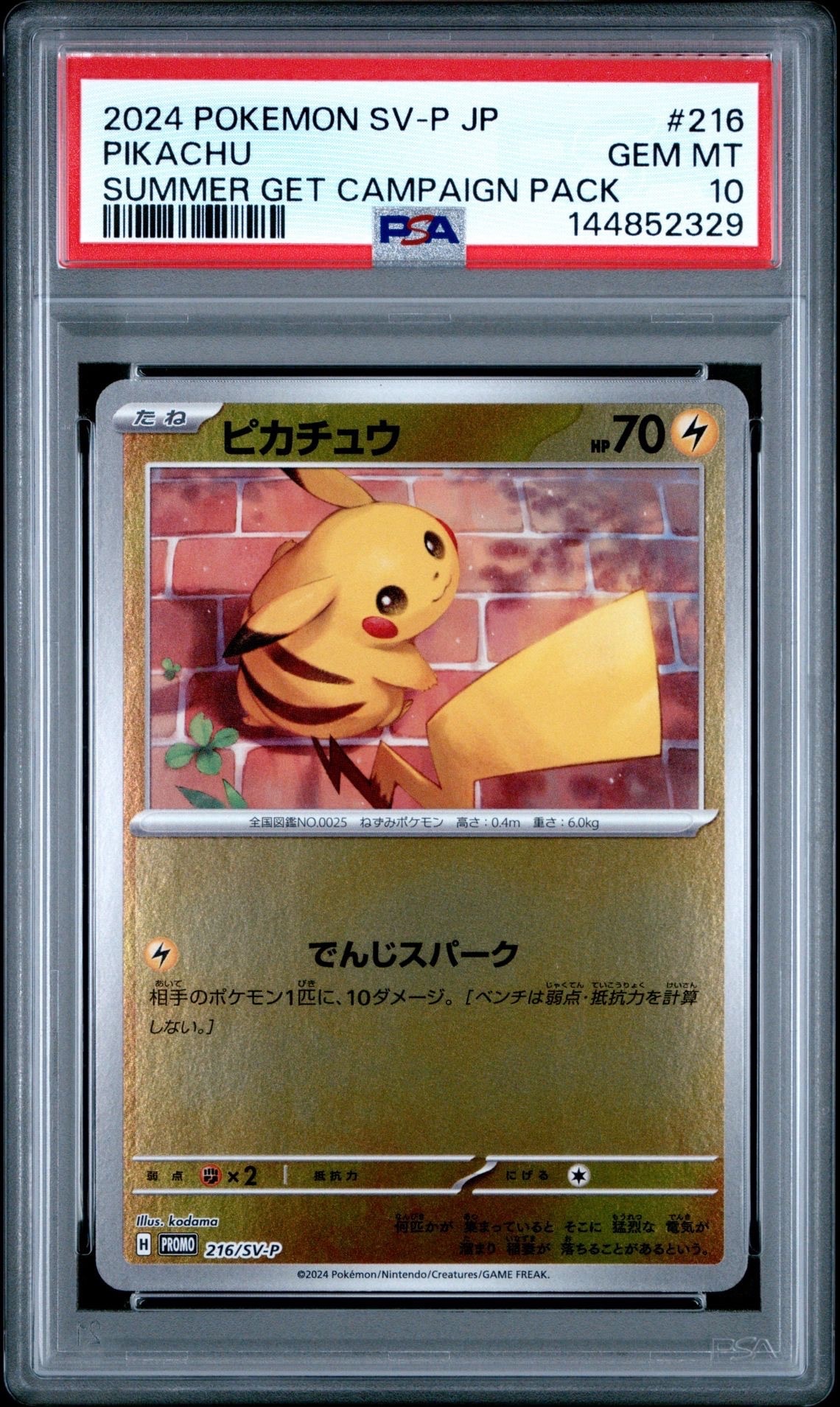 ピカチュウ P [SV-P 216](プロモカードパック「ポケカの夏がキタ!プロモカードGetキャンペーン!」)