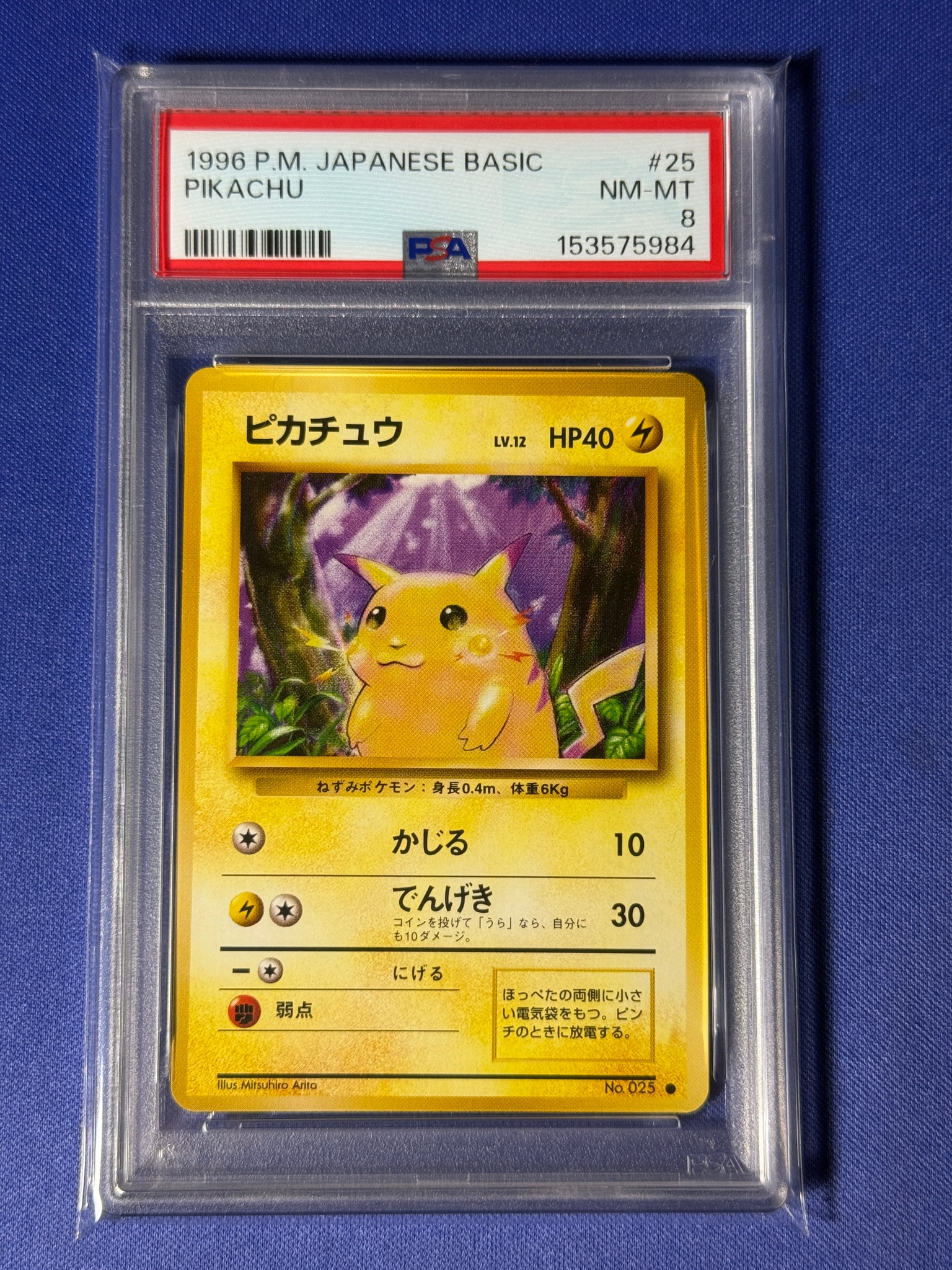 ピカチュウ ○ : 旧裏 [PMCG1-2](拡張パック「ポケットモンスター