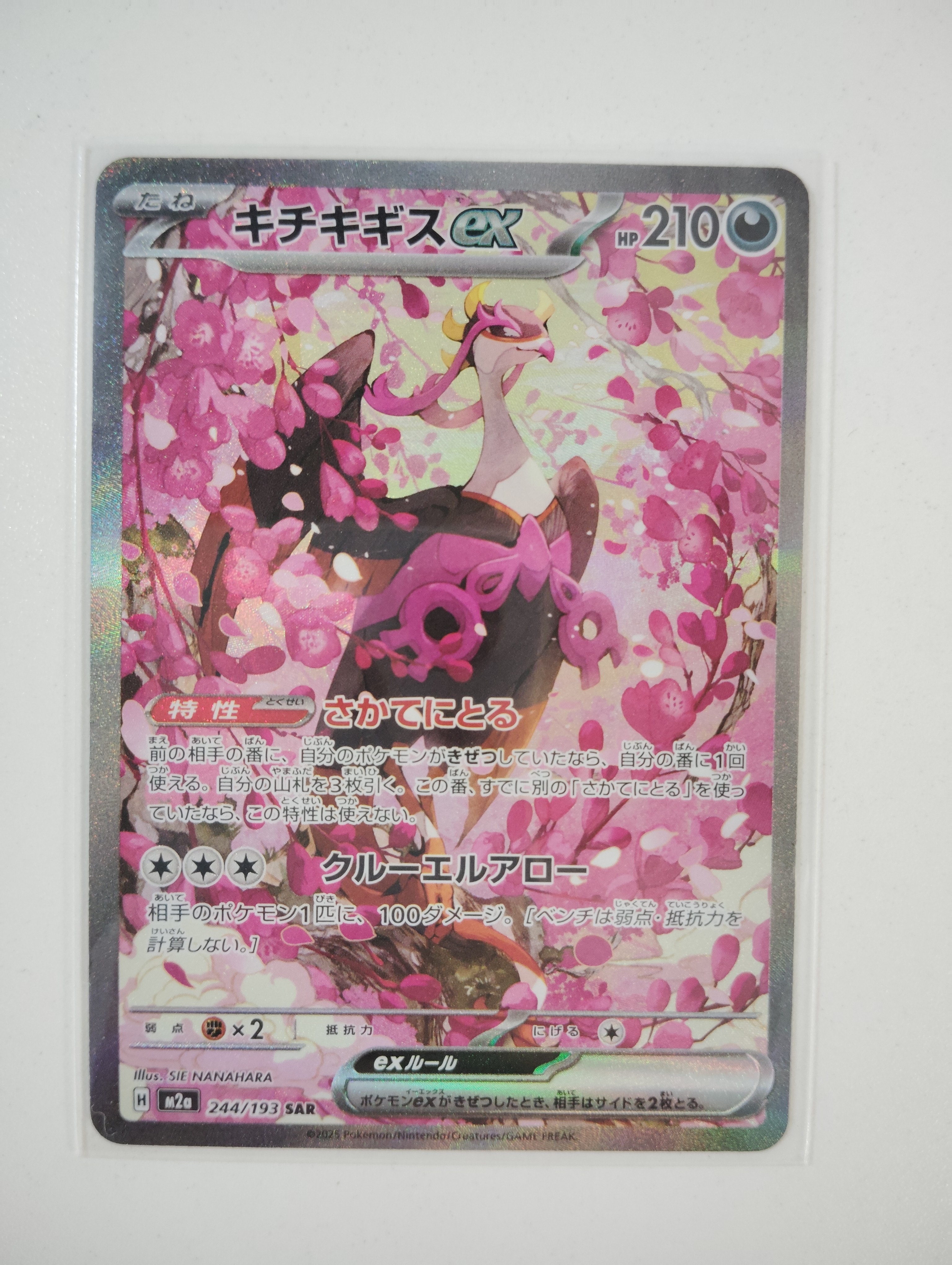 【PSA10】メガキチキギスex SAR 244/193 M2a 中古】 PSA10 キチキギスex SAR M2a-244 : おたいちヤフー店 - 通販