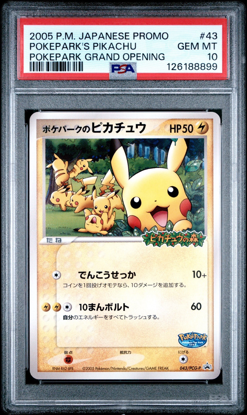 ポケパークのピカチュウ P [PCG-P 043](プロモーションカード