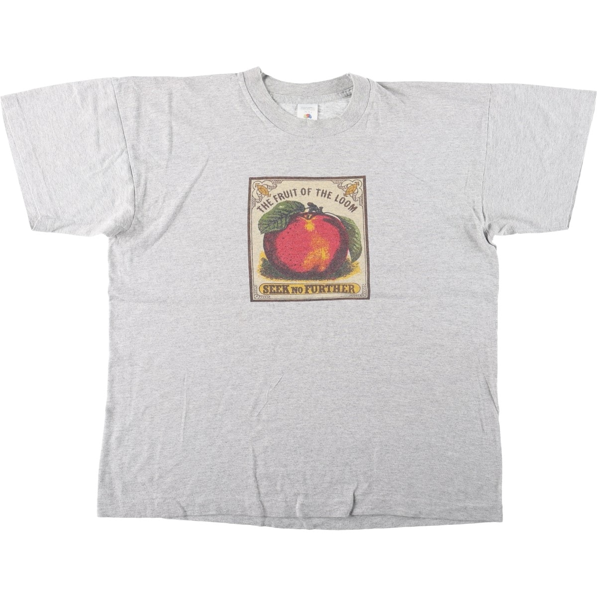 古着 90年代 フルーツオブザルーム FRUIT OF THE LOOM プリントTシャツ USA製 メンズXL相当/eaa667871
