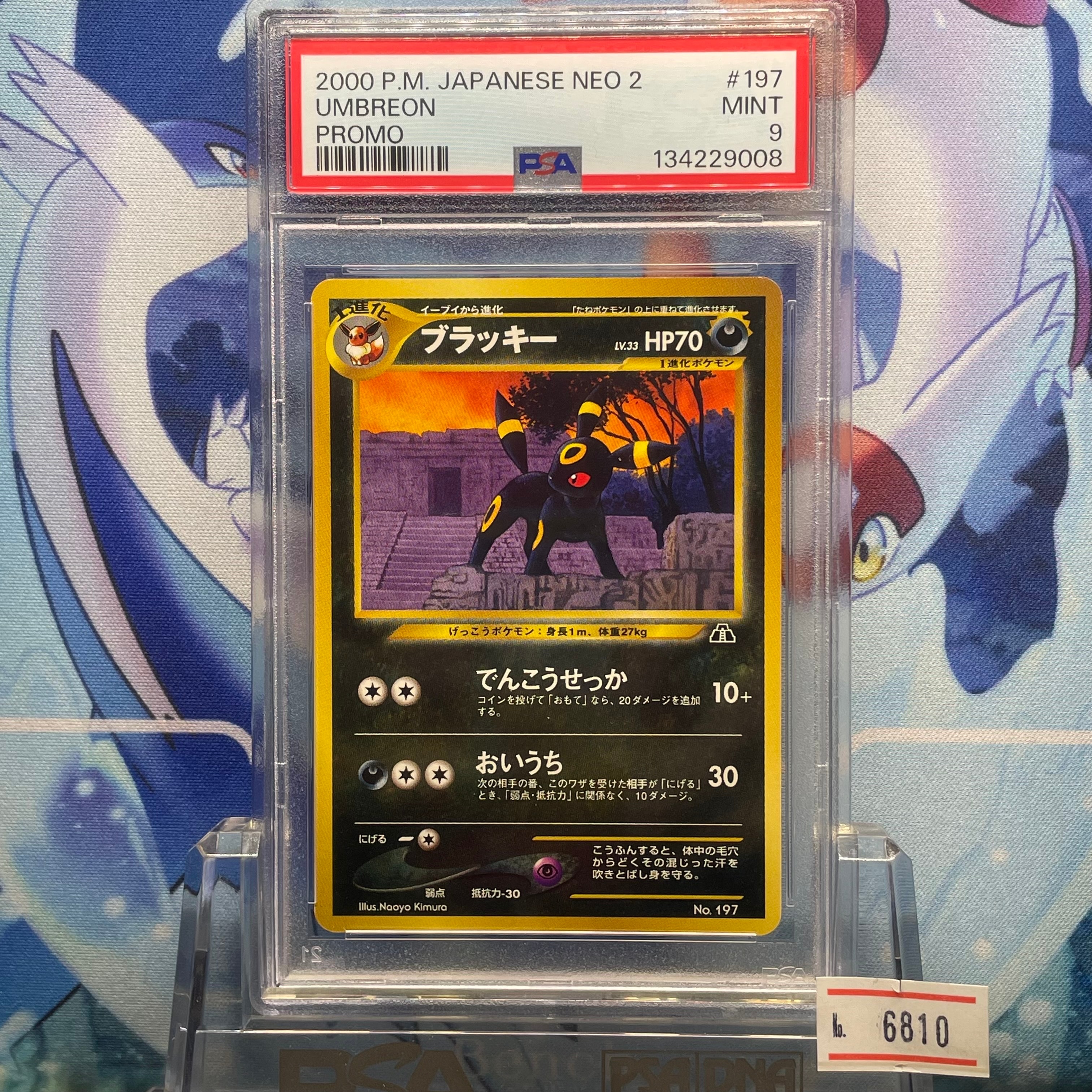 ブラッキープレミアムファイル2: 旧裏[neoP2 No.197](プレミアムファイル2)