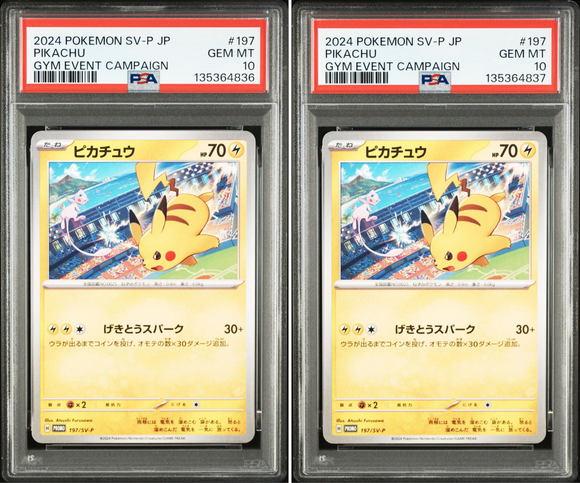 ピカチュウ P [SV-P 197](プロモーションカード「WCS2024 開催記念」)