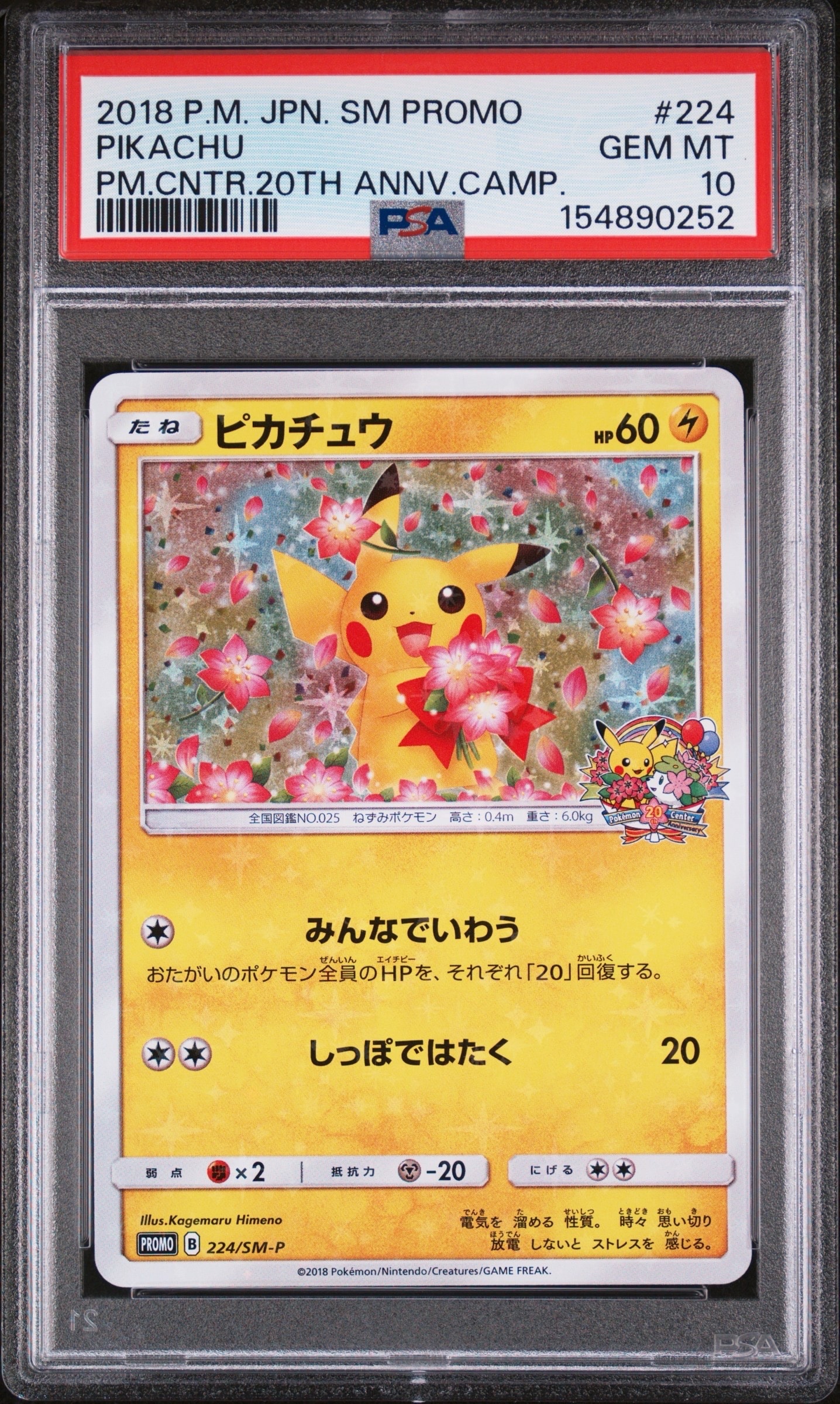 ピカチュウ 224/SM-P ピカチュウ: プロモ[SM-P 224](プロモーションカード「SM-P」)の新品