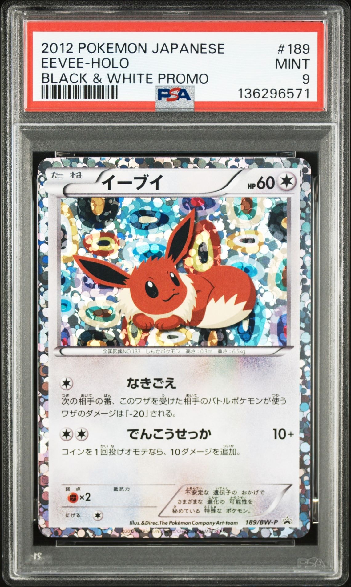 イーブイ P [BW-P 189/BW-P](プロモーションカード「コレクション