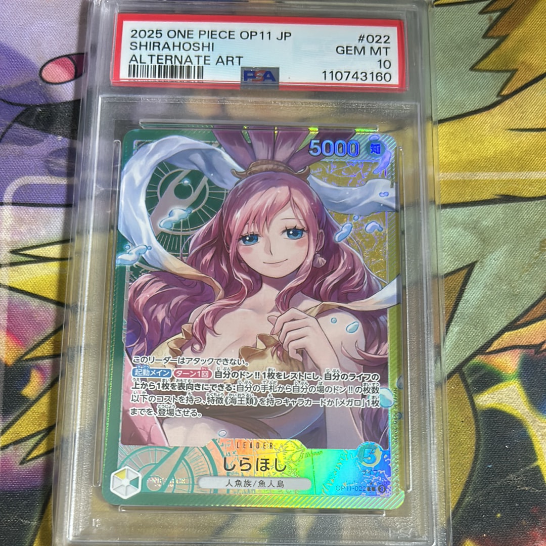 しらほし L-P [OP11-022](ブースターパック「神速の拳」)