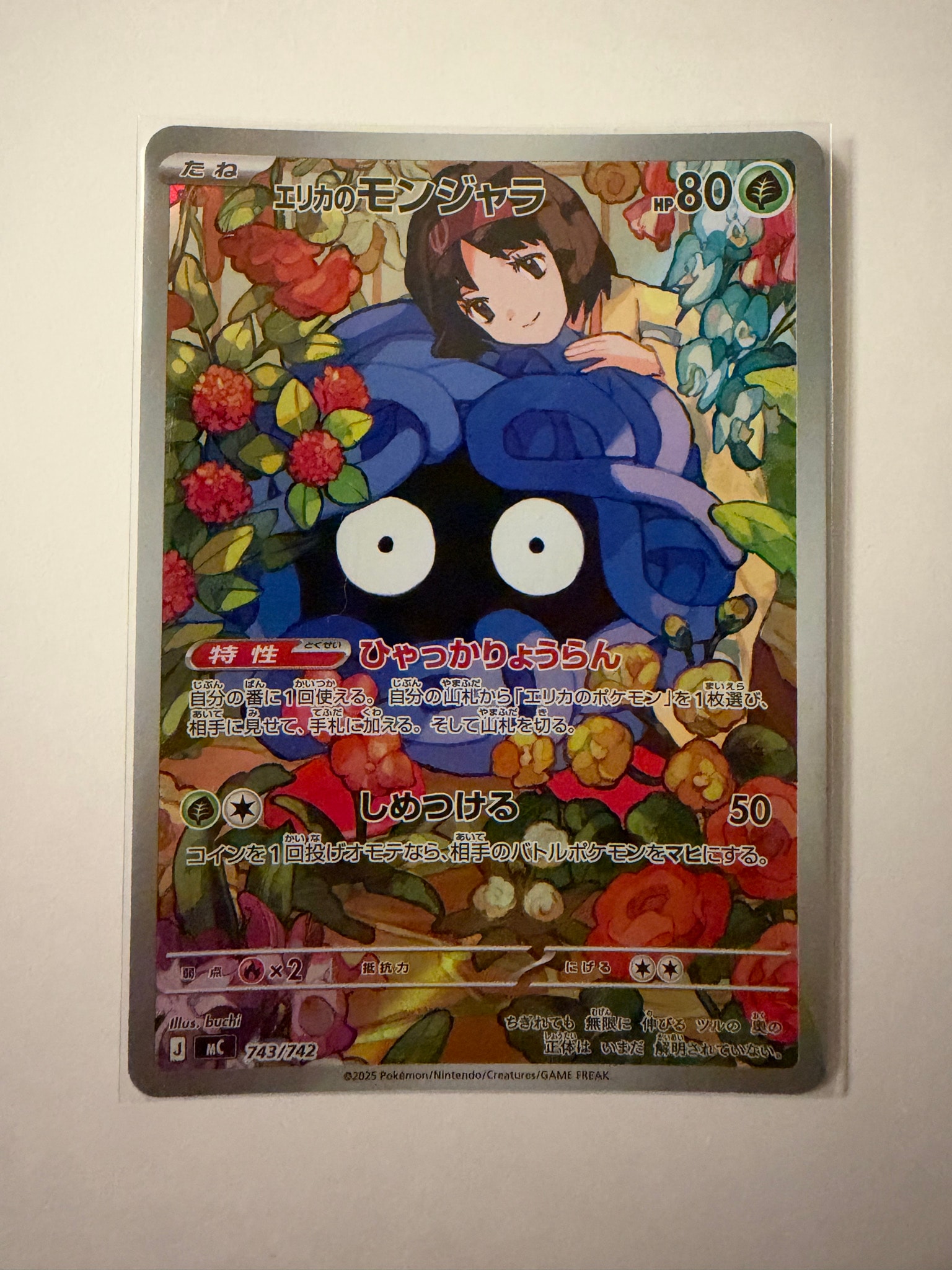 A（きれいな状態）】エリカのモンジャラ AR仕様 [MC 743/742](スタート