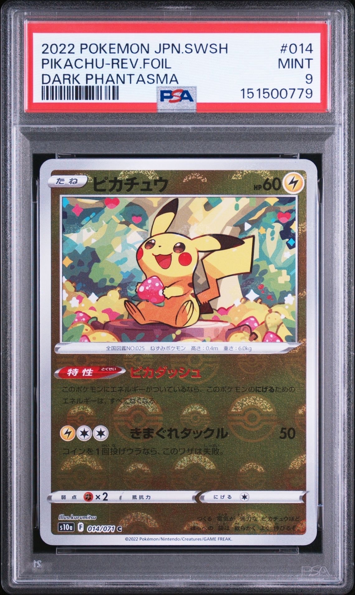レックウザ: プロモ[XY-P 232/XY-P](プロモーションカード「XY-P」)の