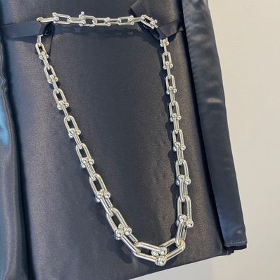 Tiffany & Co. HardWear Graduated Link Necklace "Silver"