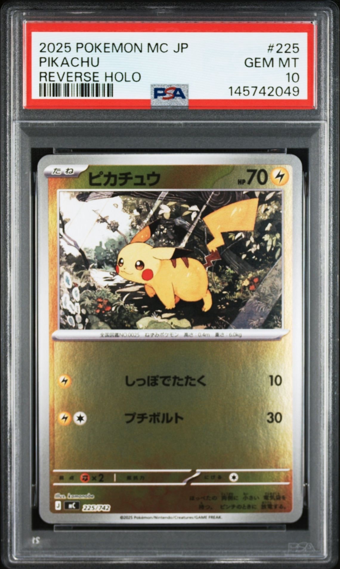 ピカチュウ&ゼクロムGX RR :25thホロ [031/095](ポケモンカード 25th