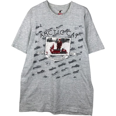 古着 90年代 フルーツオブザルーム FRUIT OF THE LOOM フォトTシャツ USA製 メンズL相当 ヴィンテージ/eaa642034