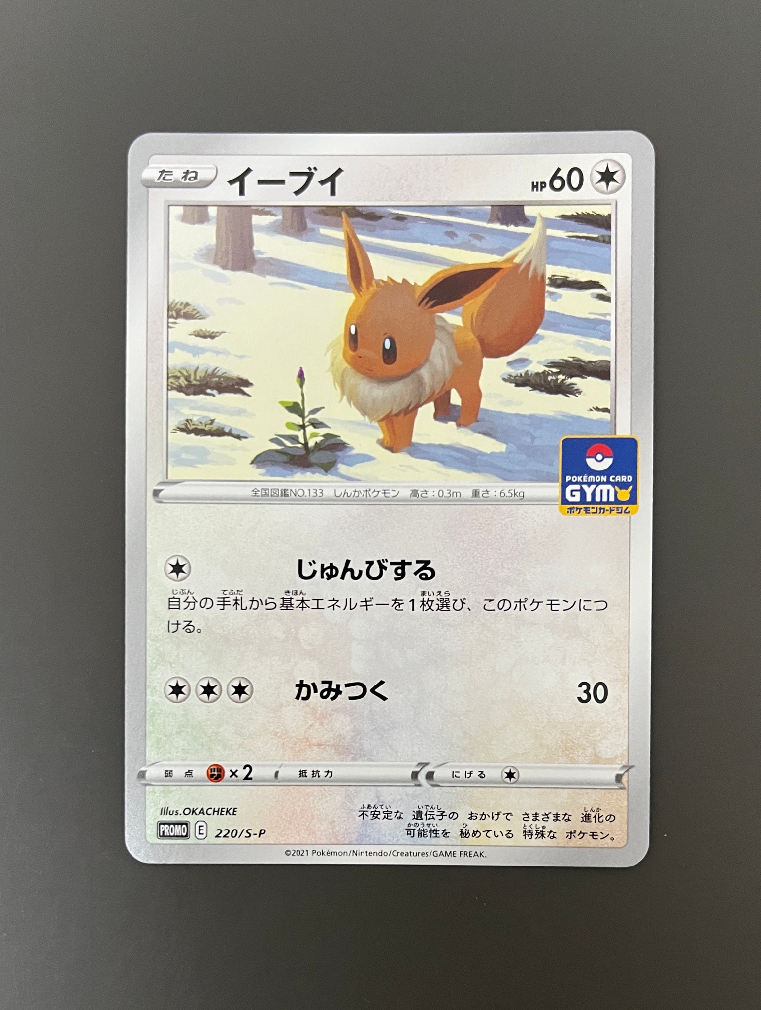 イーブイ: プロモ P [S-P 220](ポケモンカードゲーム ソード&シールド